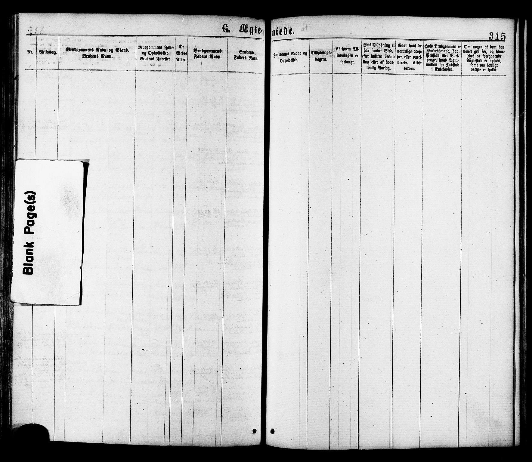 Ministerialprotokoller, klokkerbøker og fødselsregistre - Sør-Trøndelag, AV/SAT-A-1456/646/L0613: Parish register (official) no. 646A11, 1870-1884, p. 315