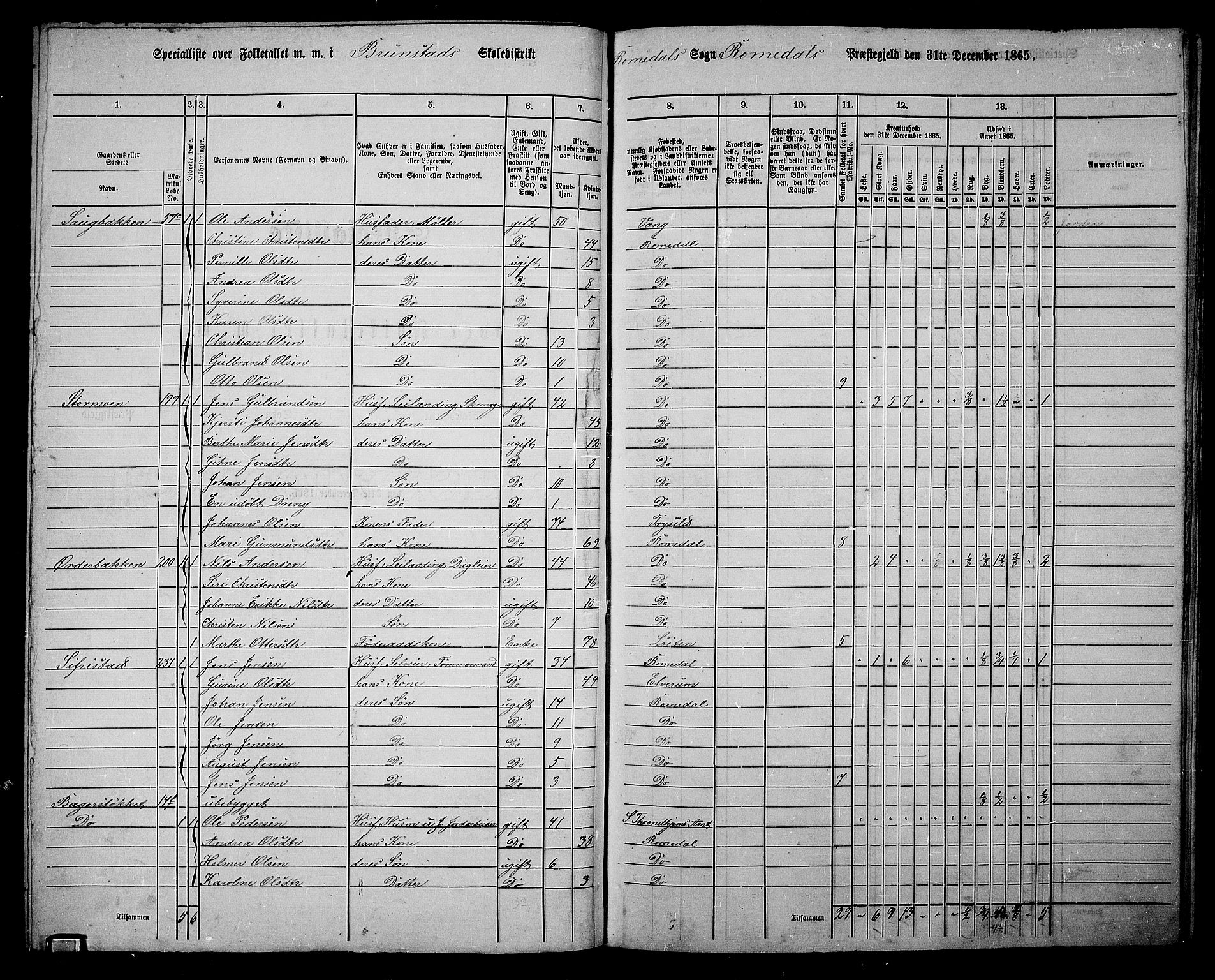 RA, 1865 census for Romedal, 1865, p. 106