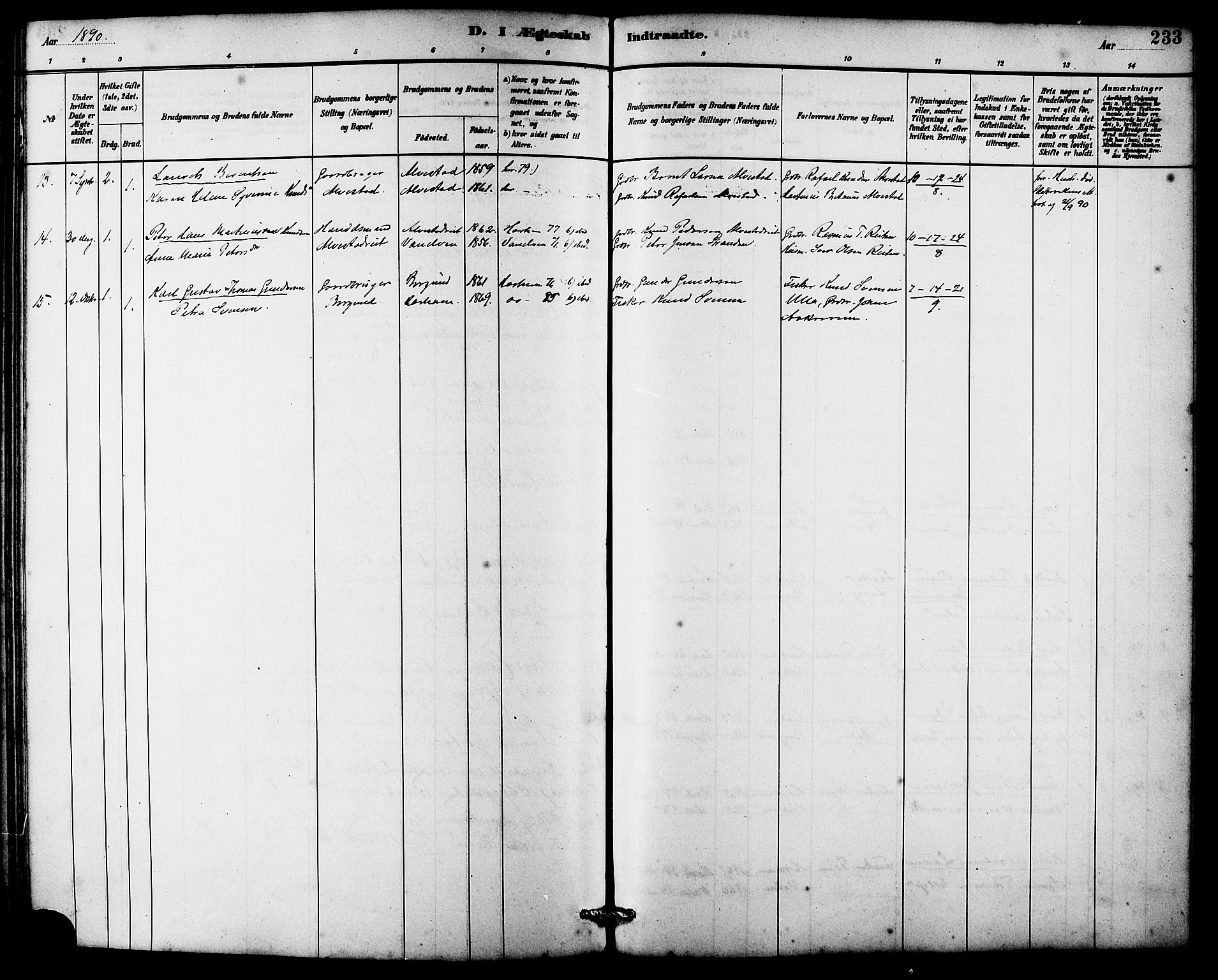 Ministerialprotokoller, klokkerbøker og fødselsregistre - Møre og Romsdal, AV/SAT-A-1454/536/L0510: Parish register (copy) no. 536C05, 1881-1898, p. 233