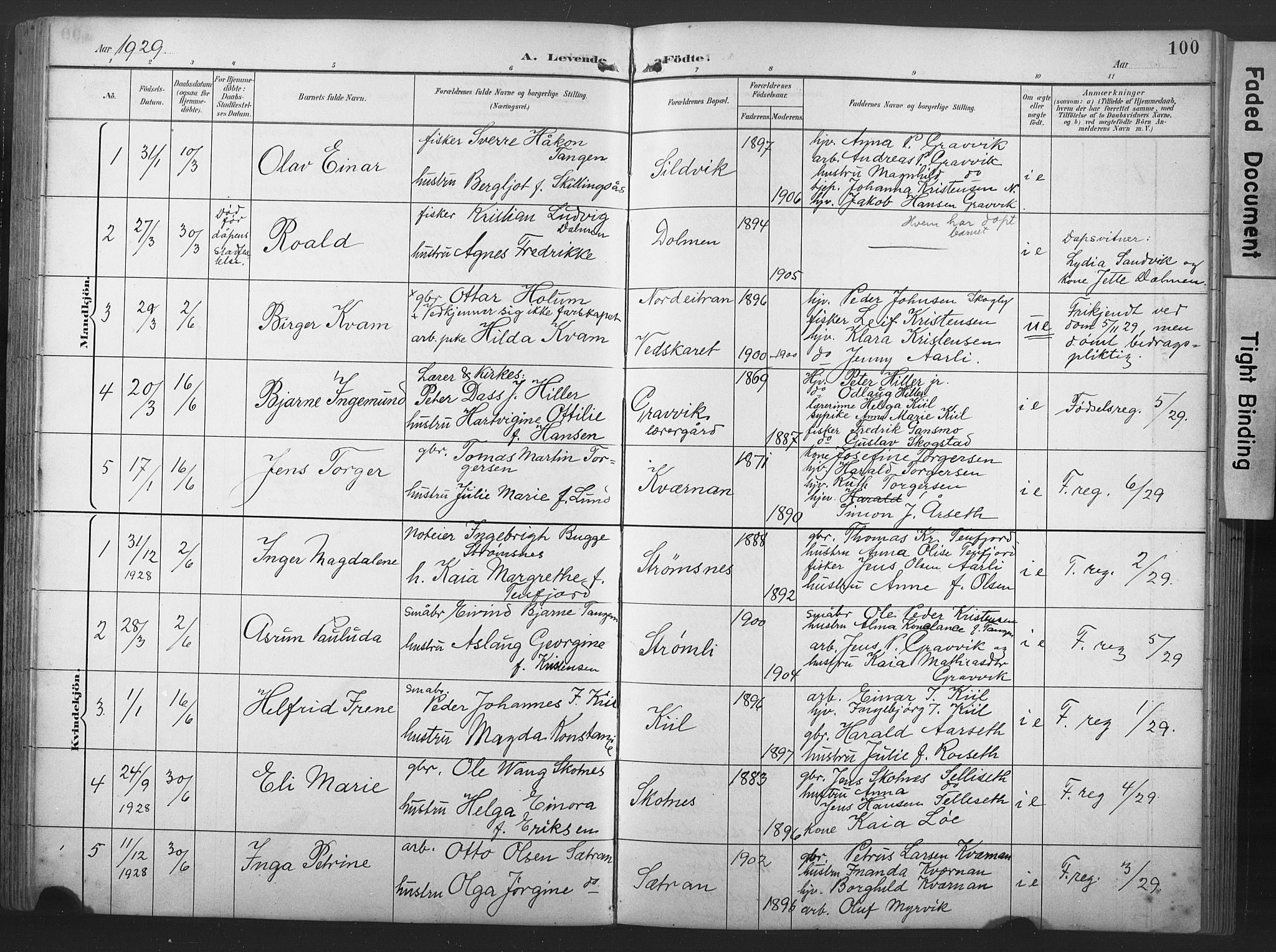 Ministerialprotokoller, klokkerbøker og fødselsregistre - Nord-Trøndelag, SAT/A-1458/789/L0706: Parish register (copy) no. 789C01, 1888-1931, p. 100