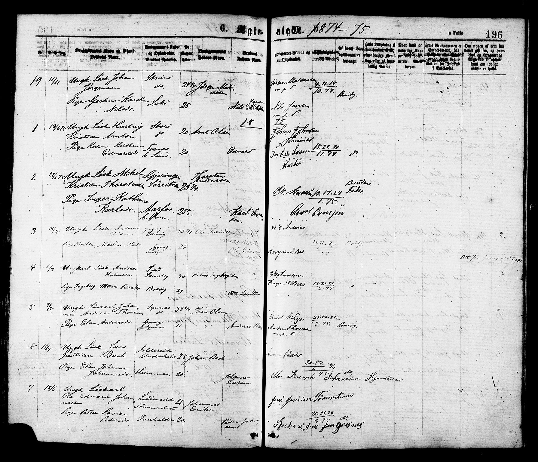 Ministerialprotokoller, klokkerbøker og fødselsregistre - Nord-Trøndelag, SAT/A-1458/780/L0642: Parish register (official) no. 780A07 /1, 1874-1885, p. 196