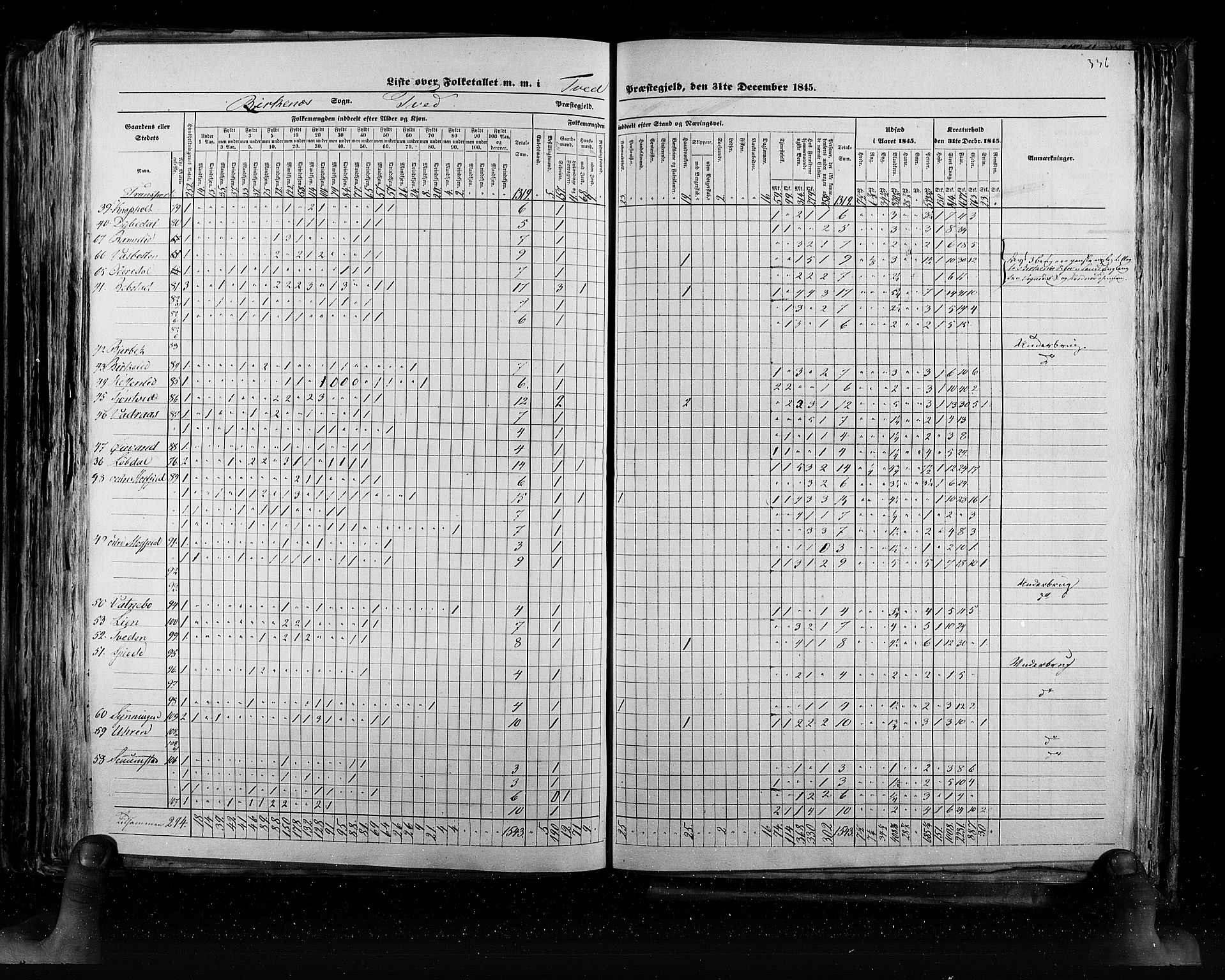 RA, Census 1845, vol. 5: Bratsberg amt og Nedenes og Råbyggelaget amt, 1845, p. 336