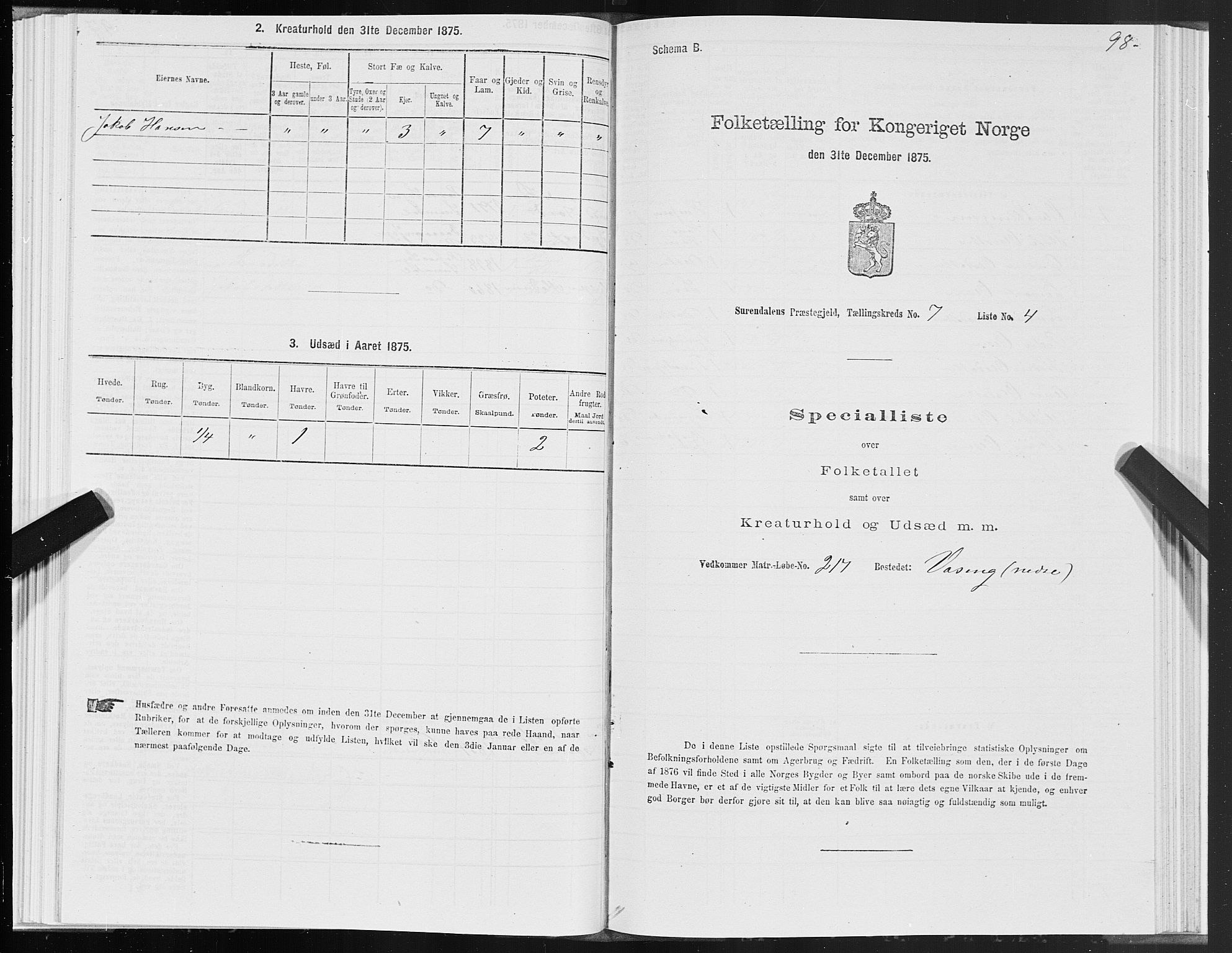 SAT, 1875 census for 1566P Surnadal, 1875, p. 3098