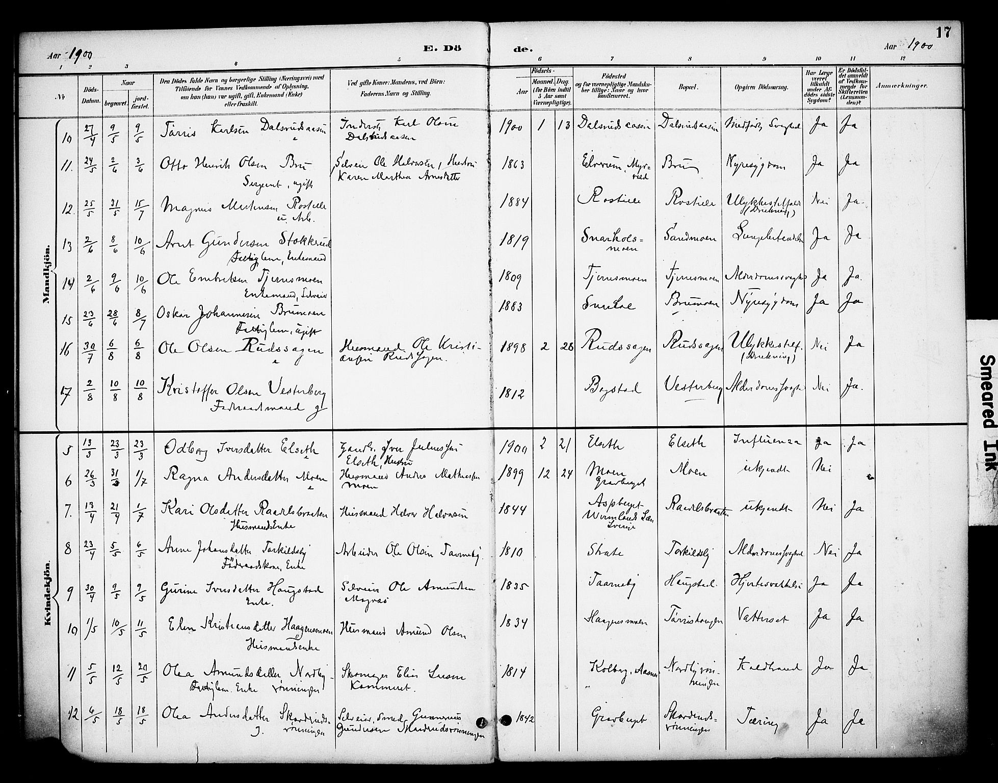 Våler prestekontor, Hedmark, AV/SAH-PREST-040/H/Ha/Haa/L0006: Parish register (official) no. 6, 1894-1908, p. 17