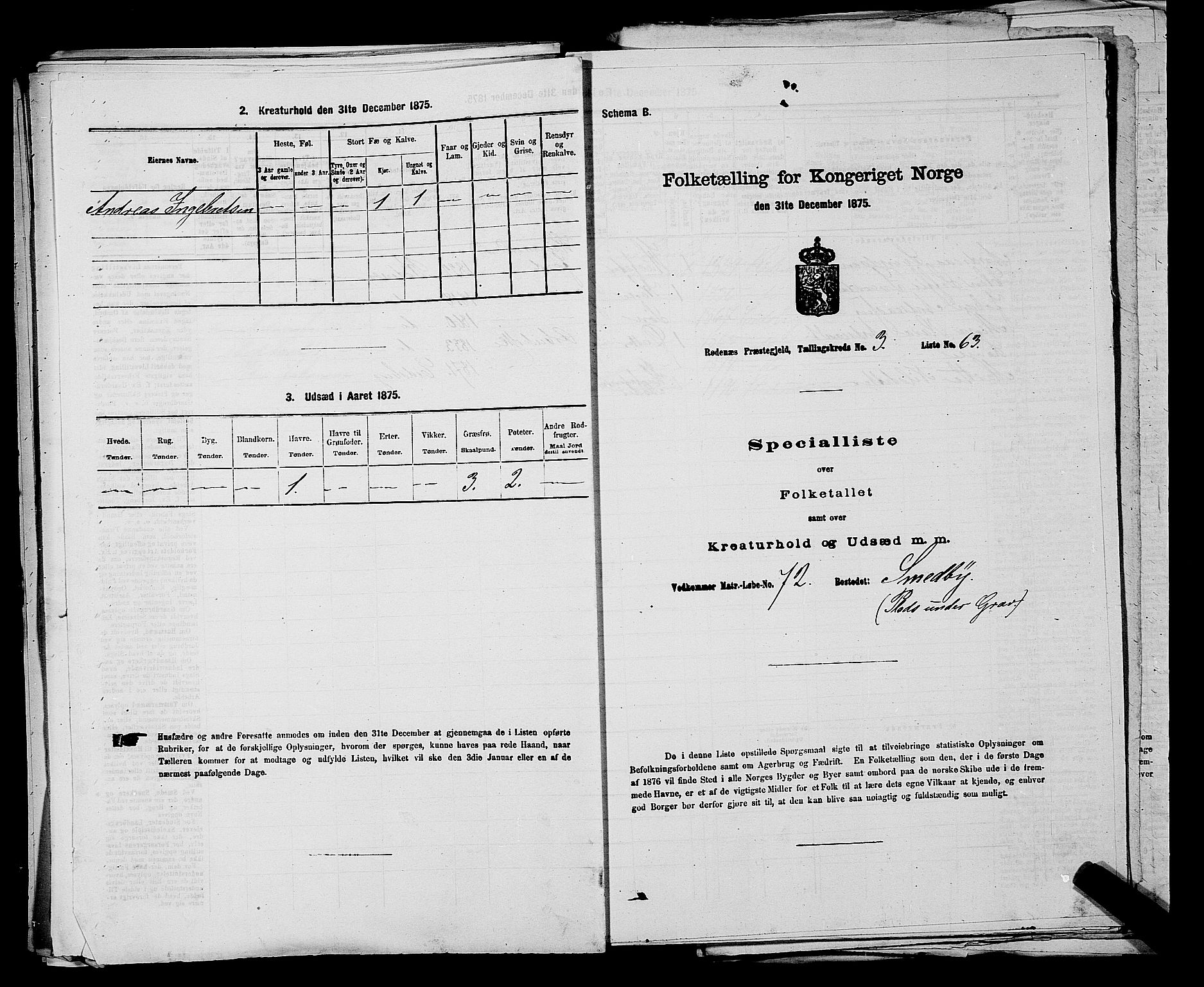 RA, 1875 census for 0120P Rødenes, 1875, p. 491