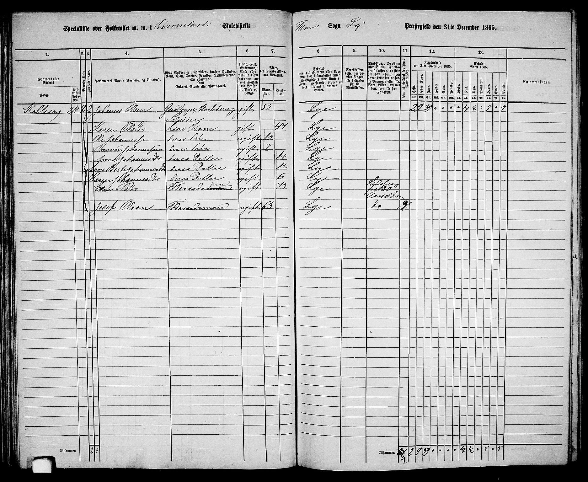 RA, 1865 census for Lye, 1865, p. 41