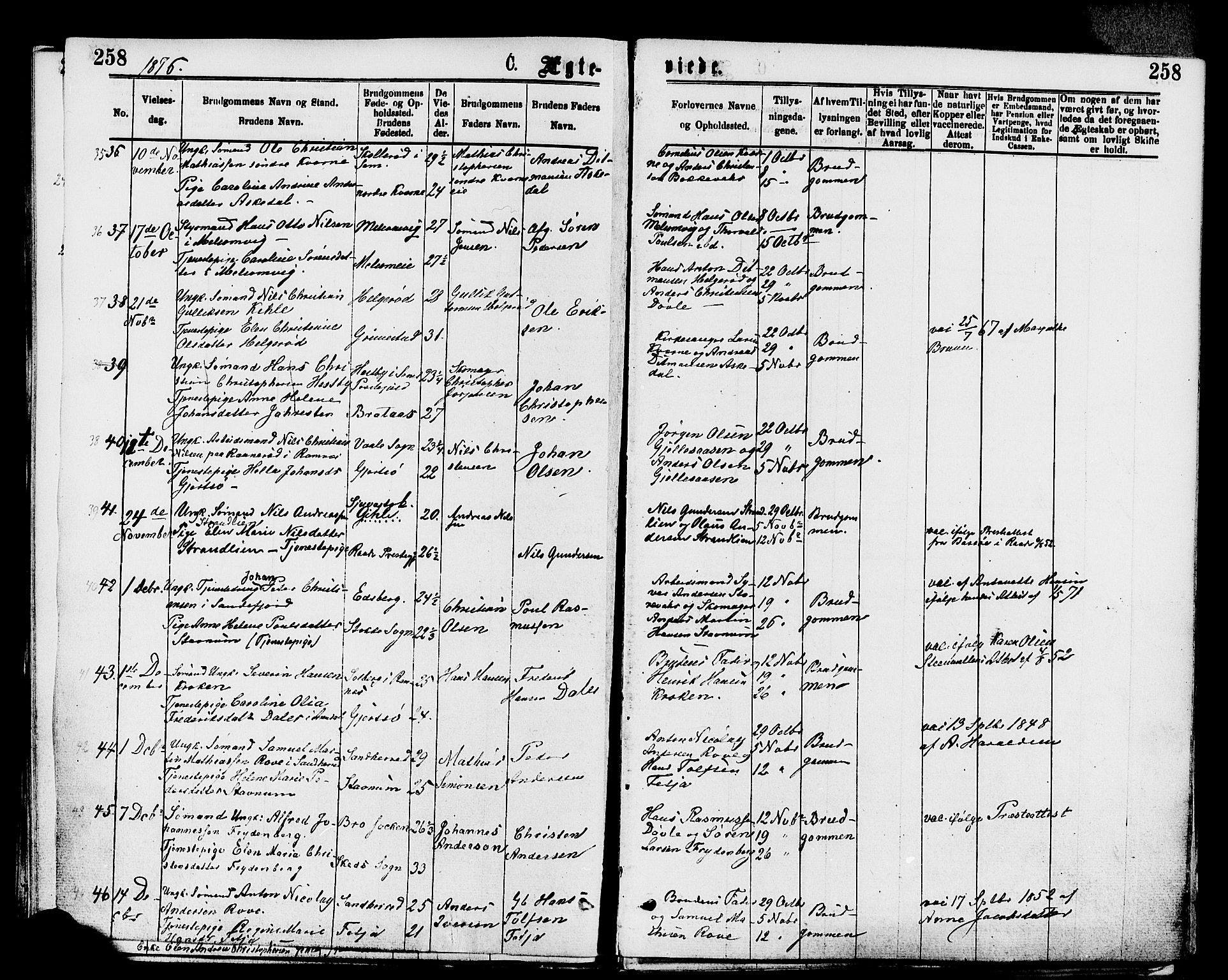 Stokke kirkebøker, AV/SAKO-A-320/F/Fa/L0009: Parish register (official) no. I 9, 1872-1883, p. 258