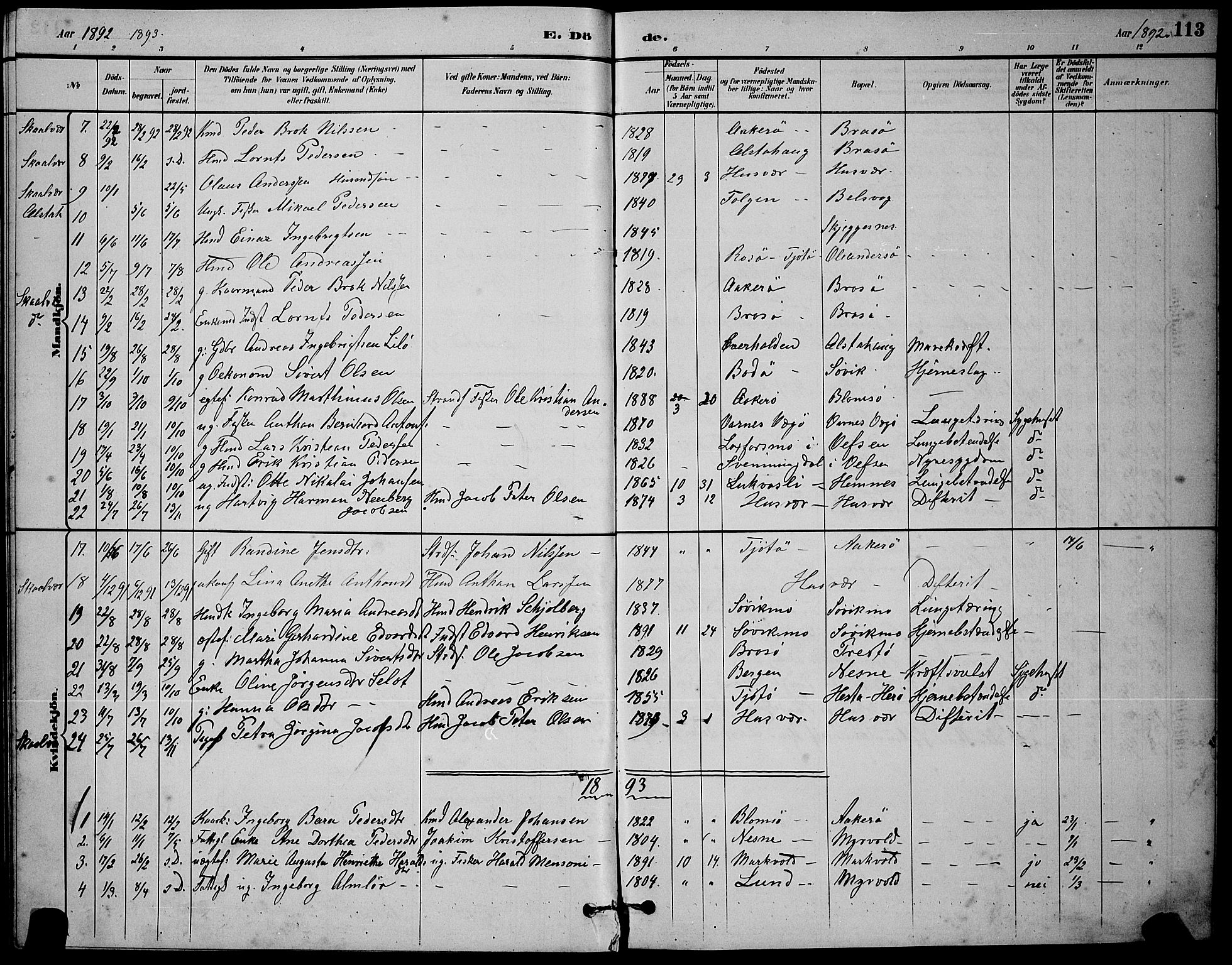 Ministerialprotokoller, klokkerbøker og fødselsregistre - Nordland, AV/SAT-A-1459/830/L0462: Parish register (copy) no. 830C04, 1882-1895, p. 113