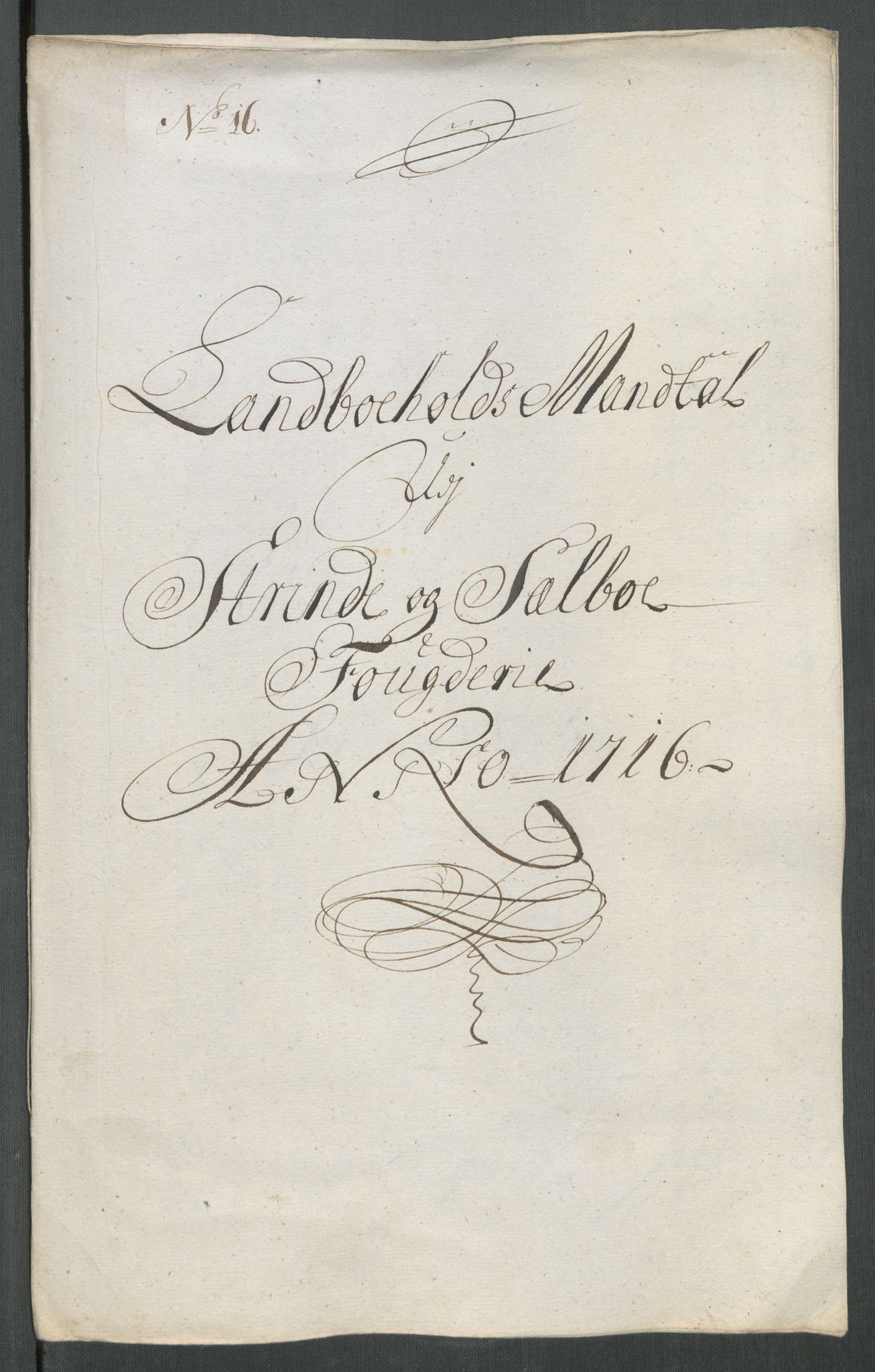 Rentekammeret inntil 1814, Reviderte regnskaper, Fogderegnskap, AV/RA-EA-4092/R61/L4115: Fogderegnskap Strinda og Selbu, 1715-1716, p. 390