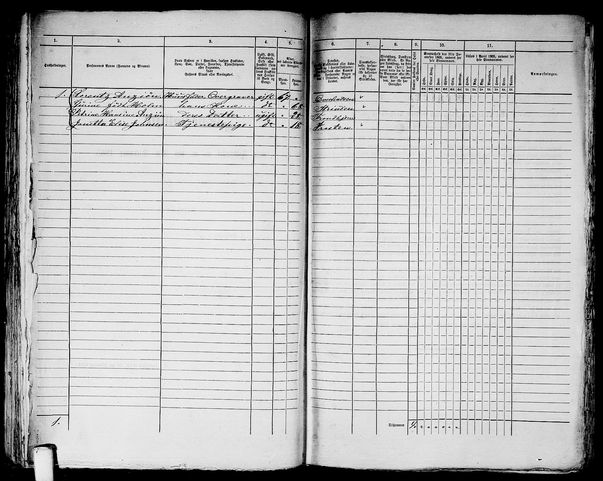 RA, 1865 census for Trondheim, 1865, p. 1205