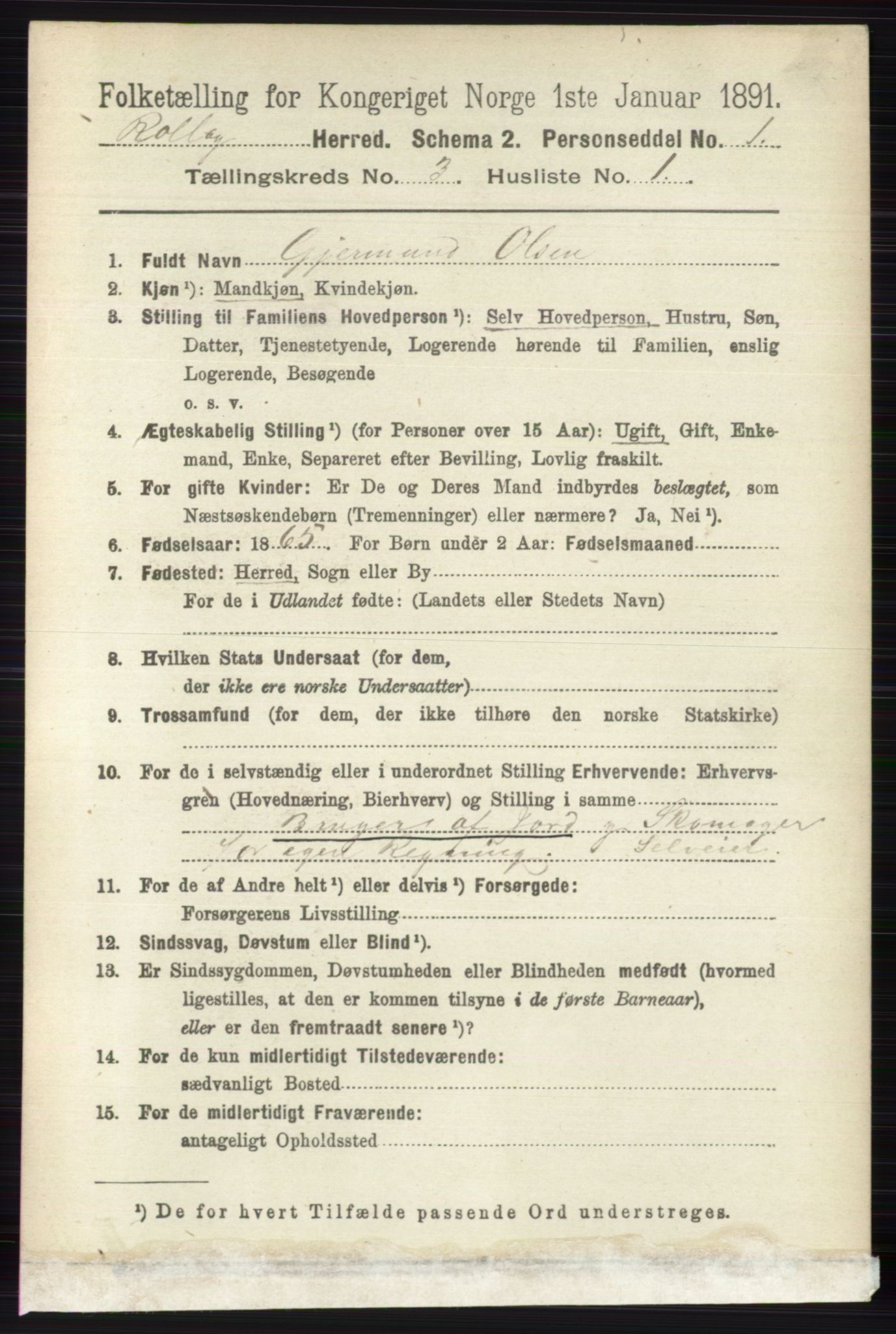 RA, 1891 census for 0632 Rollag, 1891, p. 921