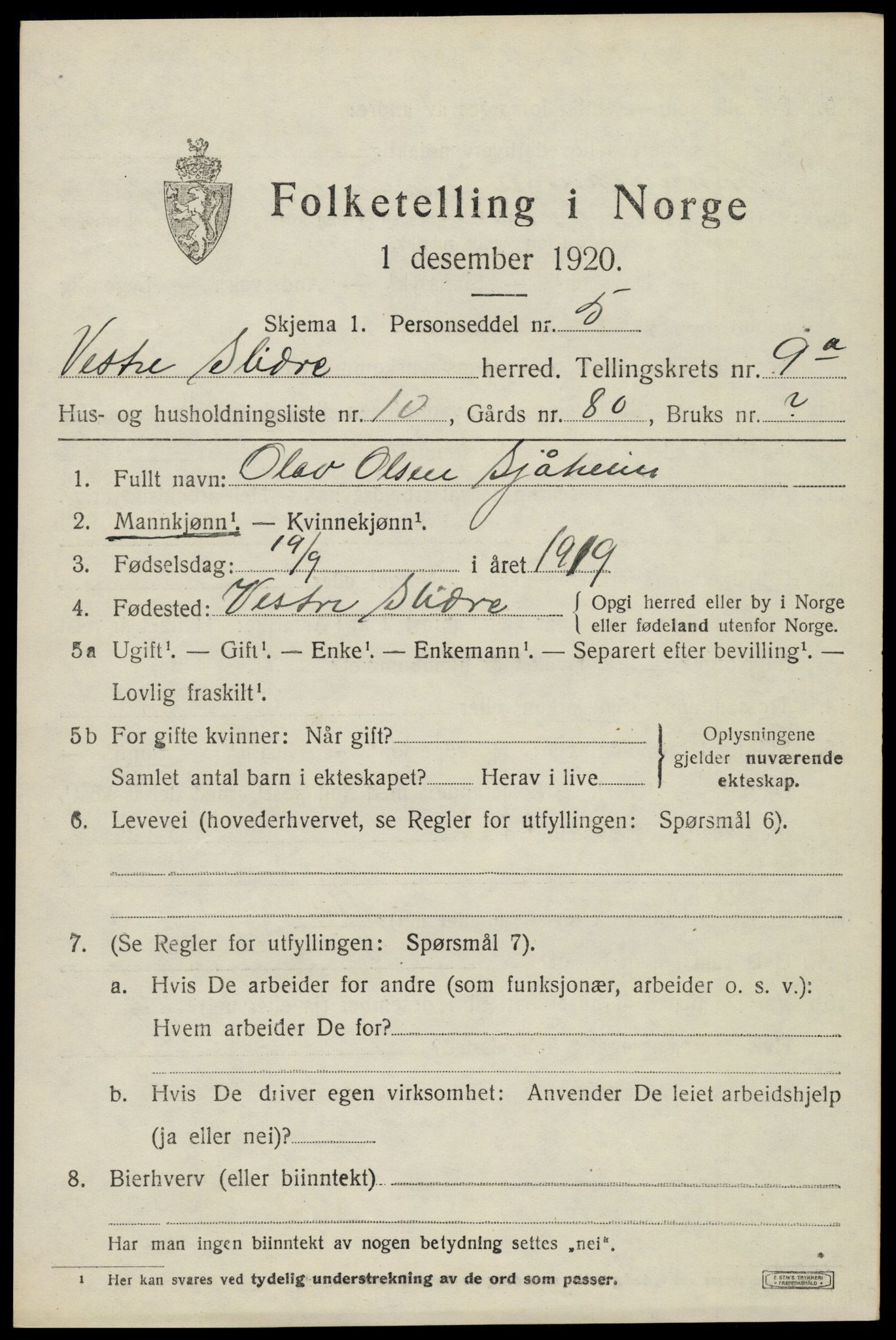 SAH, 1920 census for Vestre Slidre, 1920, p. 5060