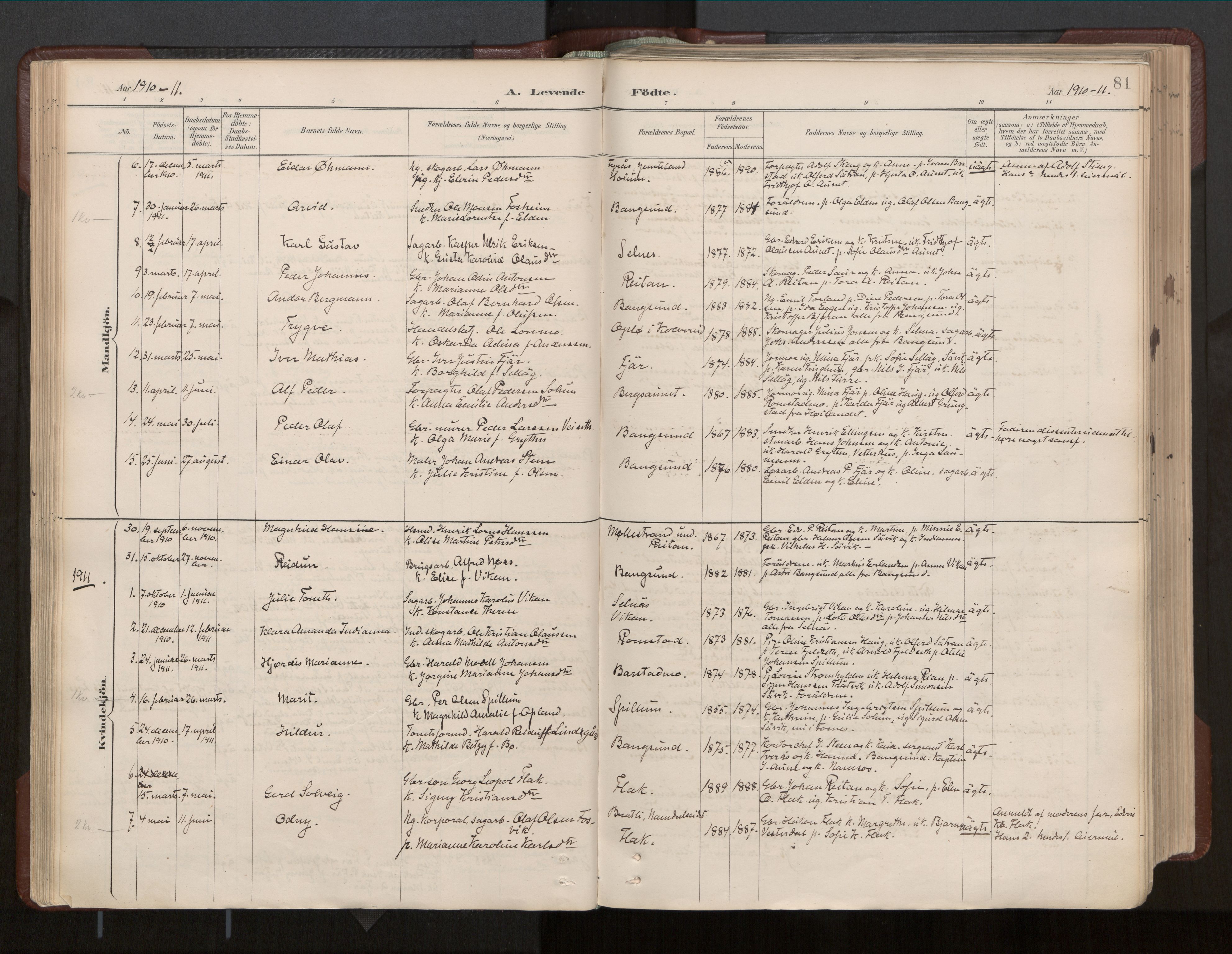 Ministerialprotokoller, klokkerbøker og fødselsregistre - Nord-Trøndelag, SAT/A-1458/770/L0589: Parish register (official) no. 770A03, 1887-1929, p. 81