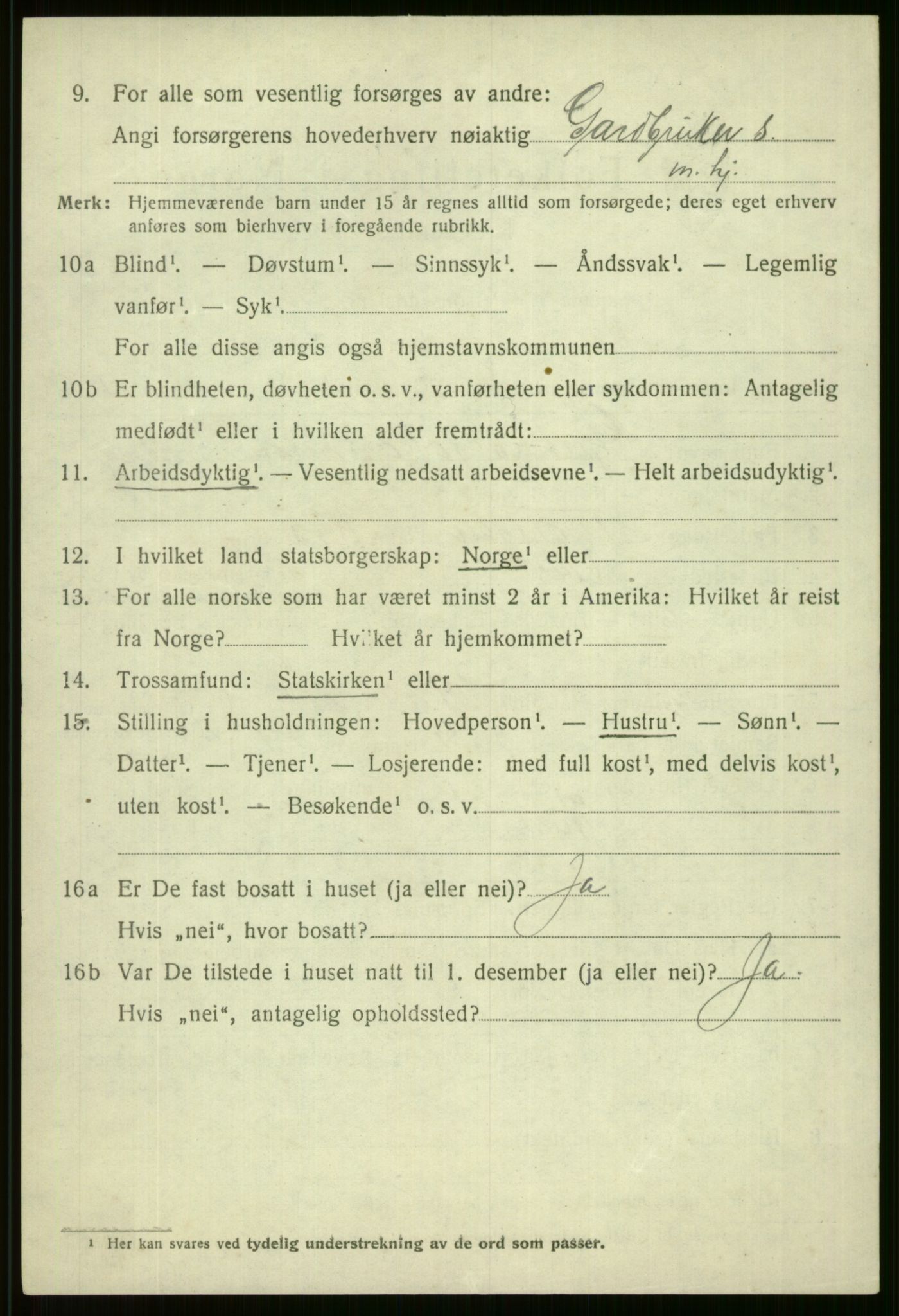 SAB, 1920 census for Voss, 1920, p. 13914