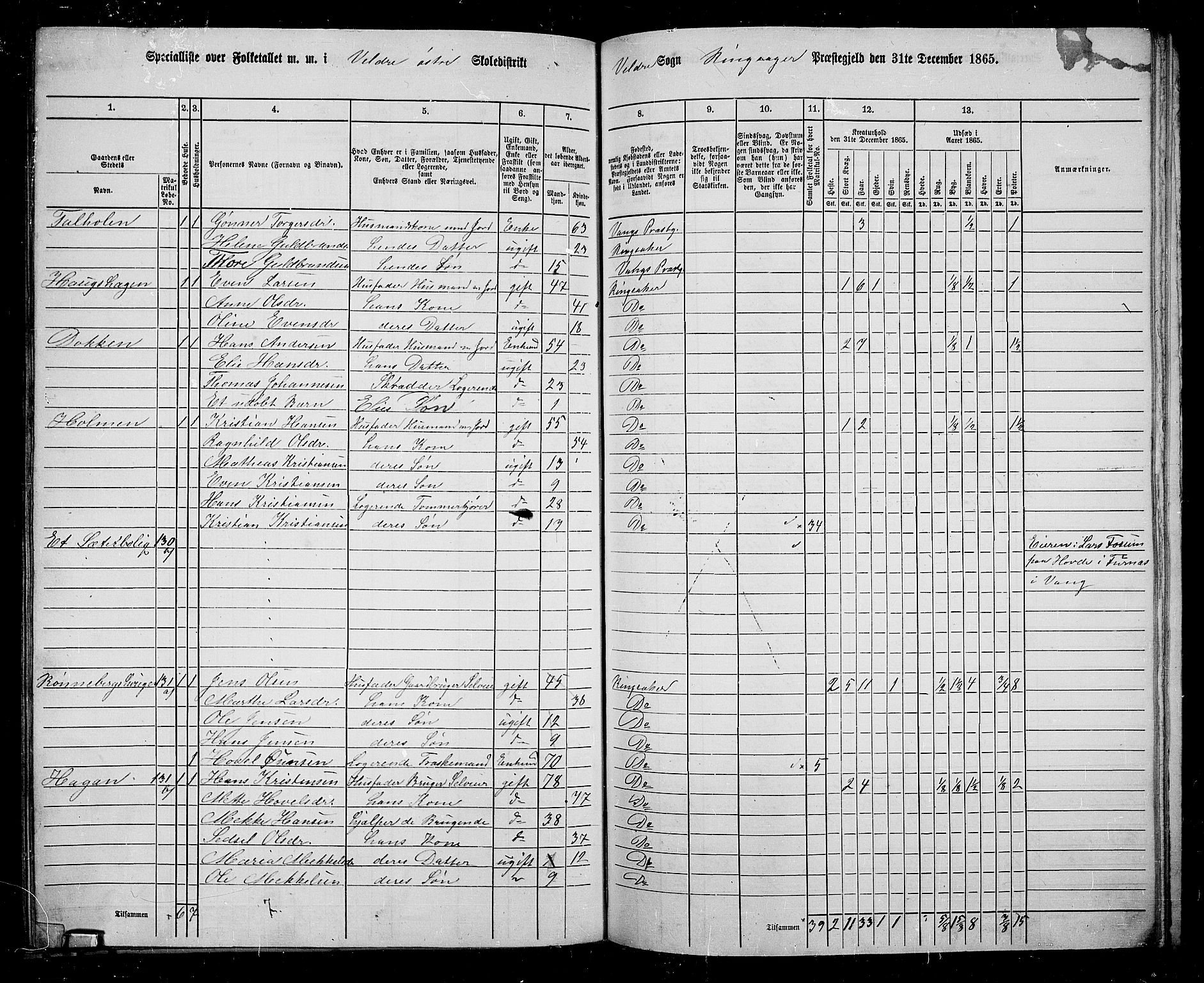 RA, 1865 census for Ringsaker, 1865, p. 196