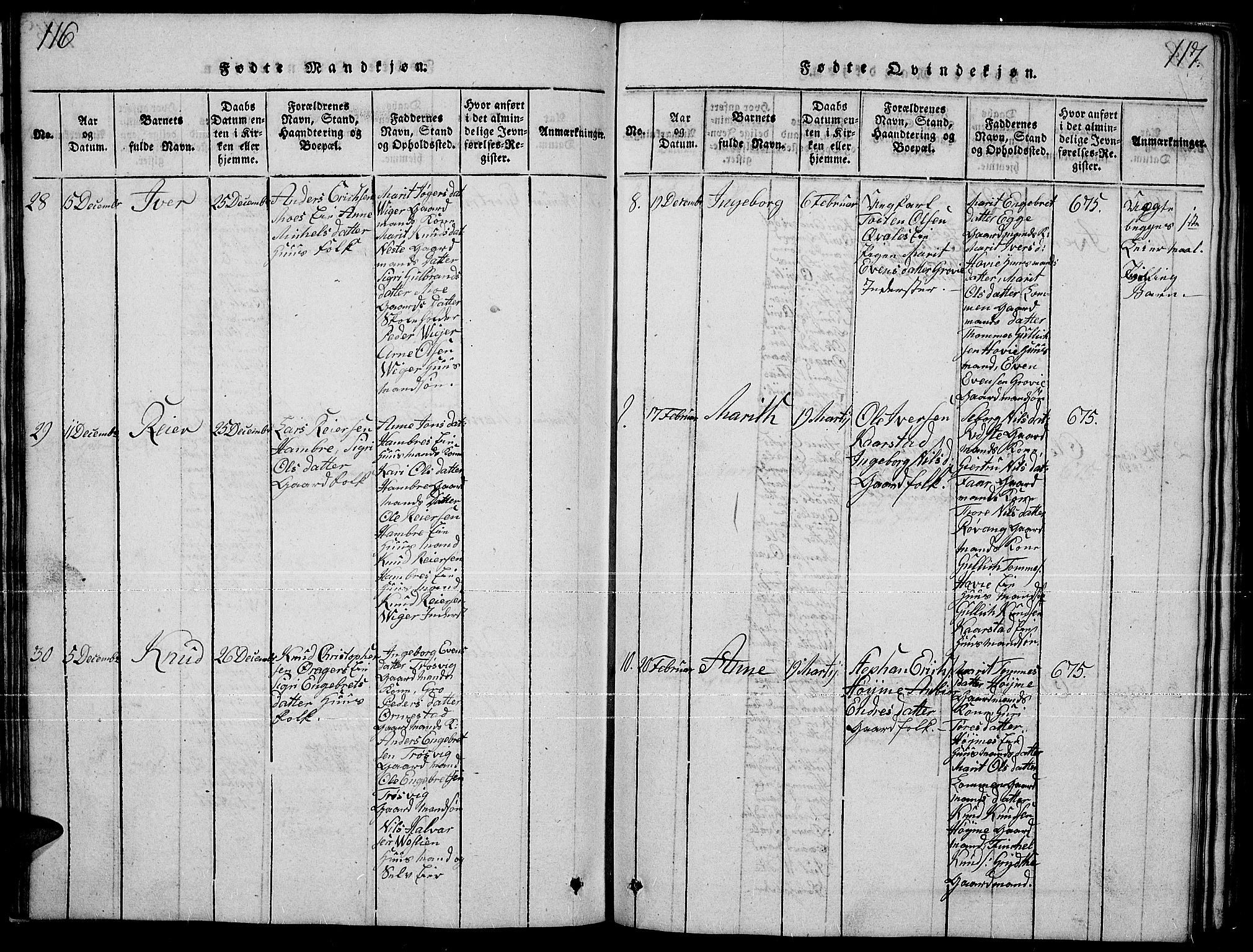 Slidre prestekontor, SAH/PREST-134/H/Ha/Hab/L0001: Parish register (copy) no. 1, 1814-1838, p. 116-117