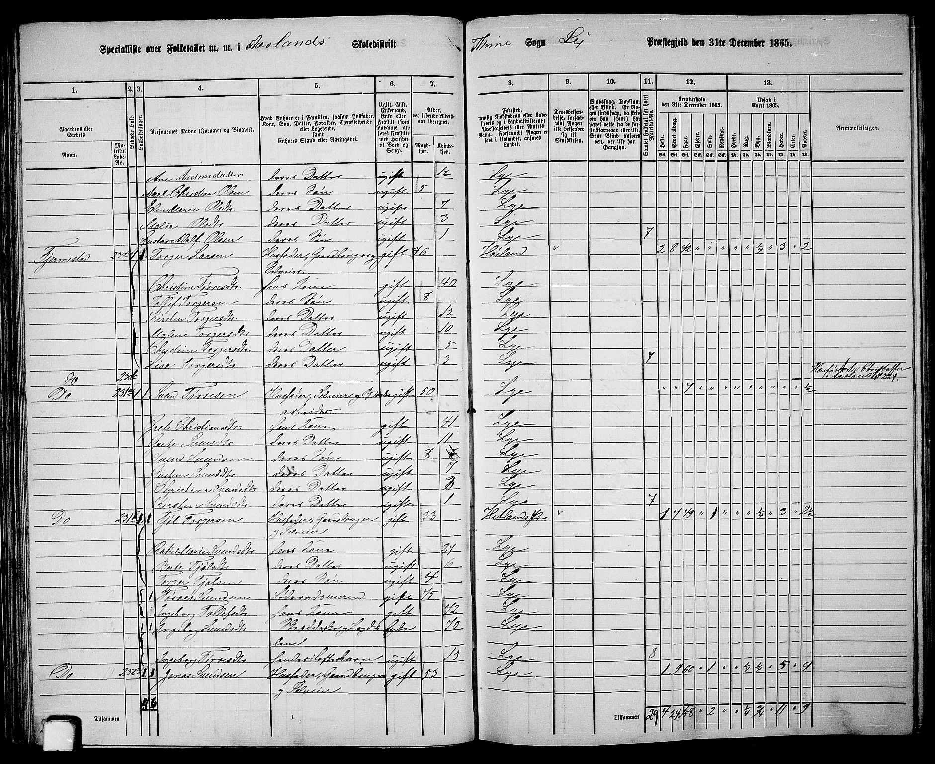 RA, 1865 census for Lye, 1865, p. 47