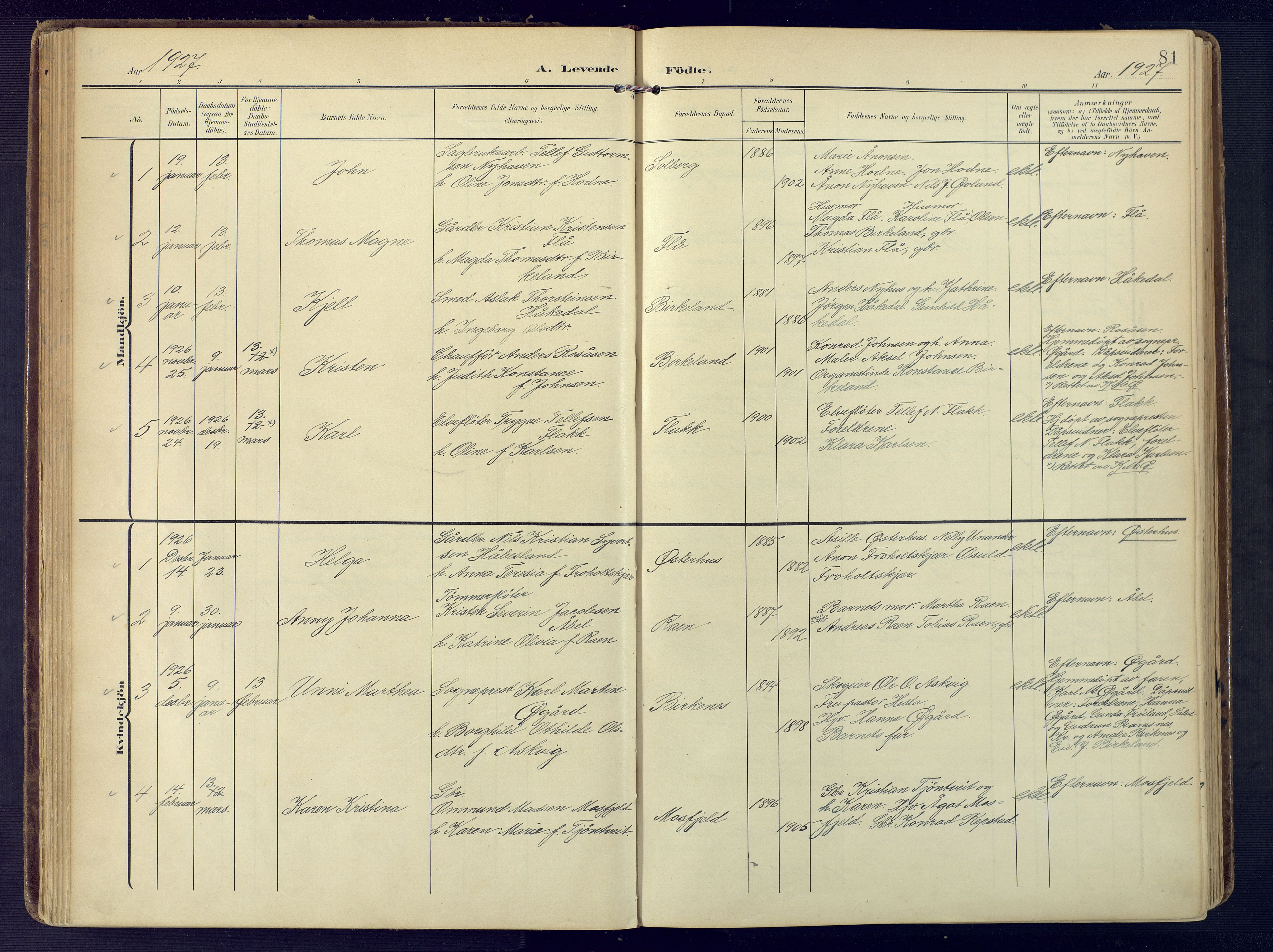 Birkenes sokneprestkontor, SAK/1111-0004/F/Fa/L0006: Parish register (official) no. A 6, 1908-1932, p. 81