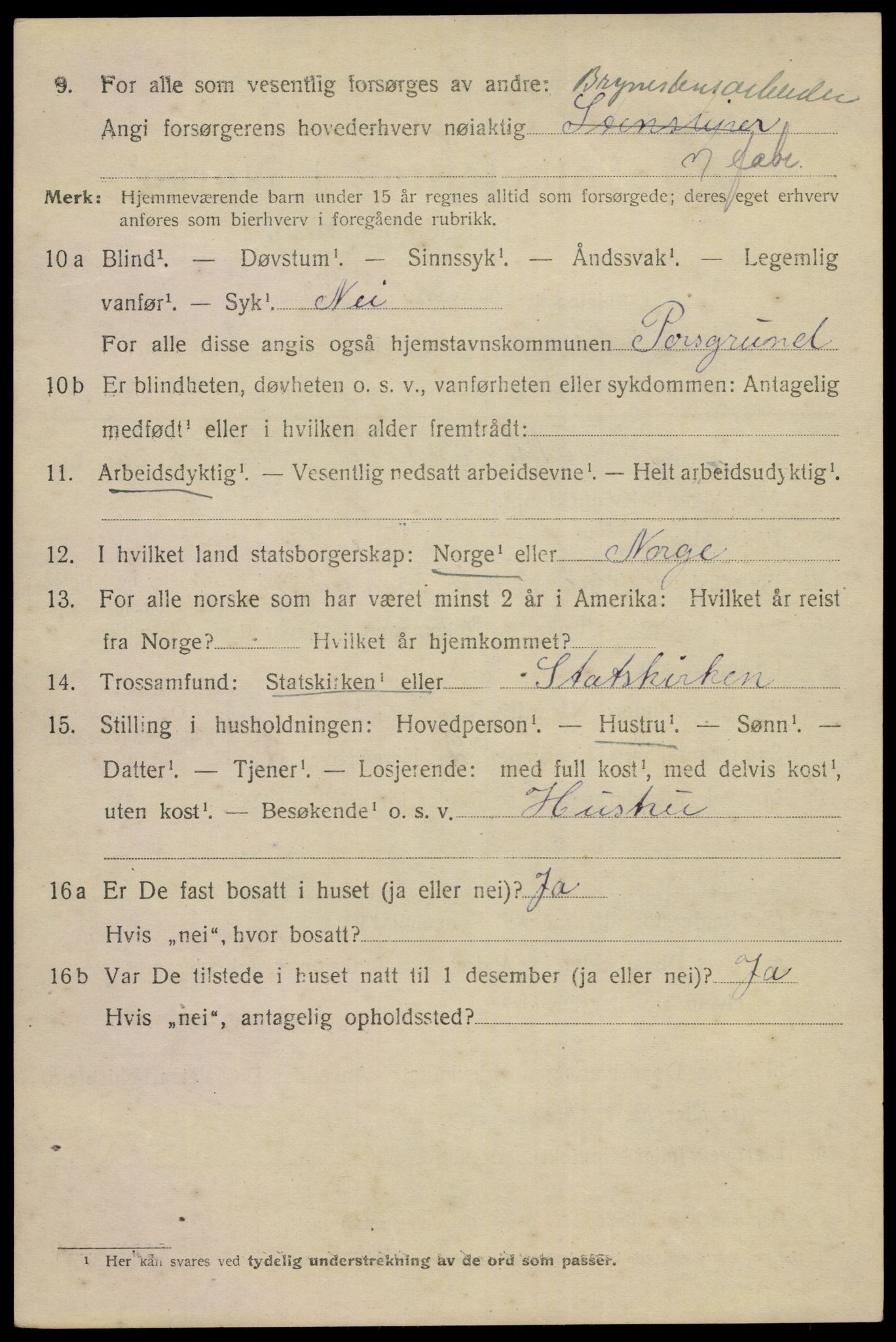 SAKO, 1920 census for Porsgrunn, 1920, p. 19906