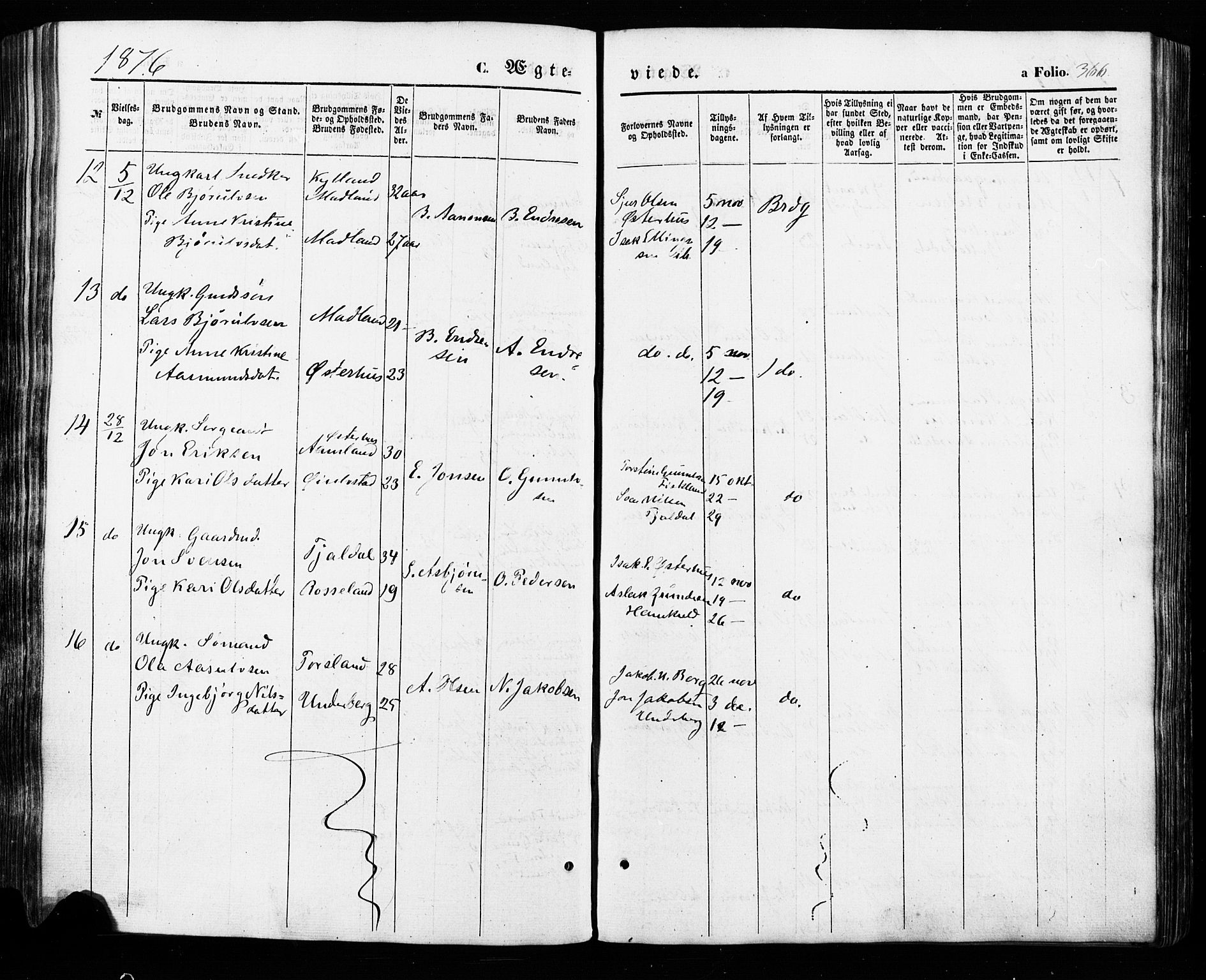 Åseral sokneprestkontor, AV/SAK-1111-0051/F/Fa/L0002: Parish register (official) no. A 2, 1854-1884, p. 366