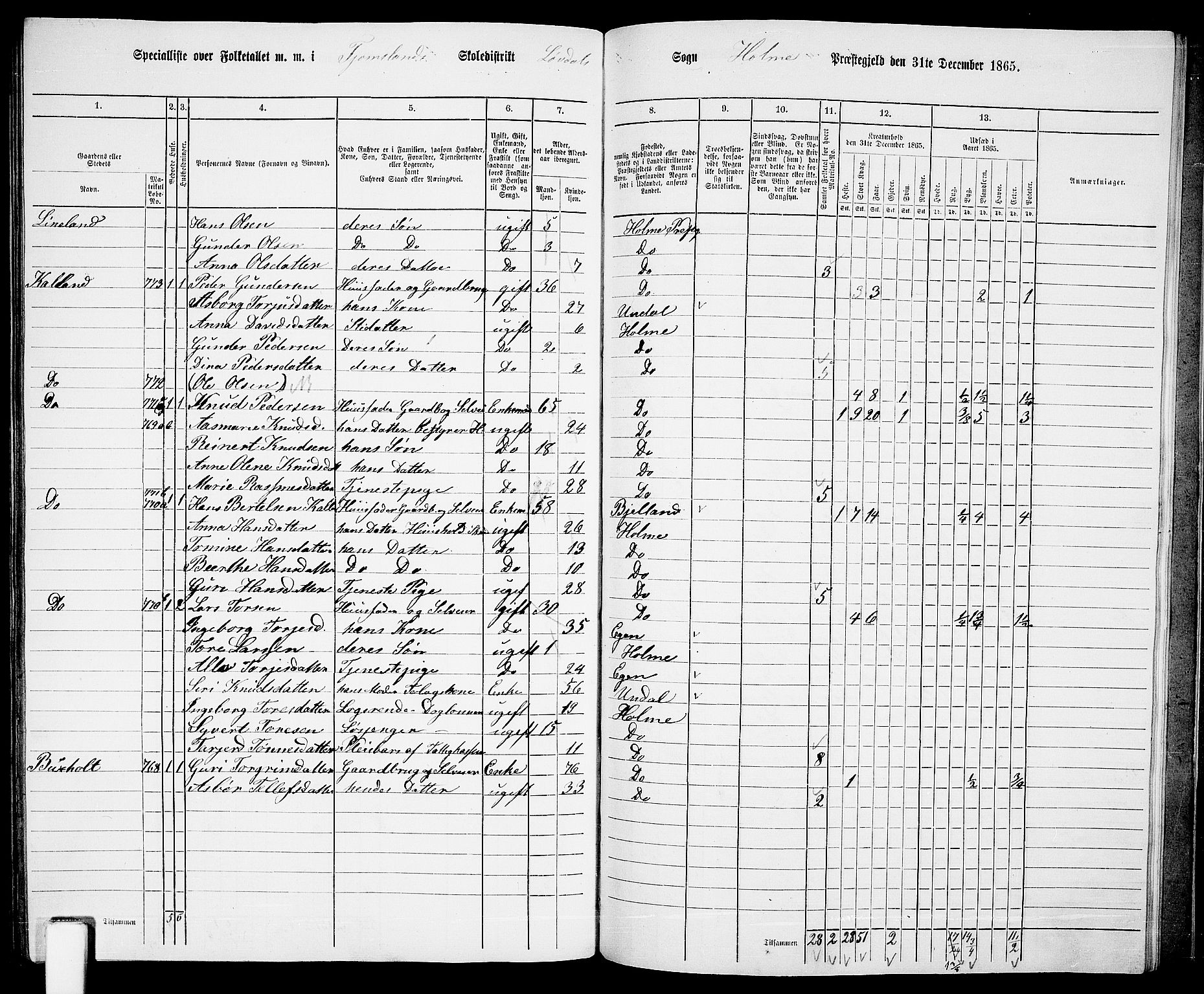 RA, 1865 census for Holum, 1865, p. 151