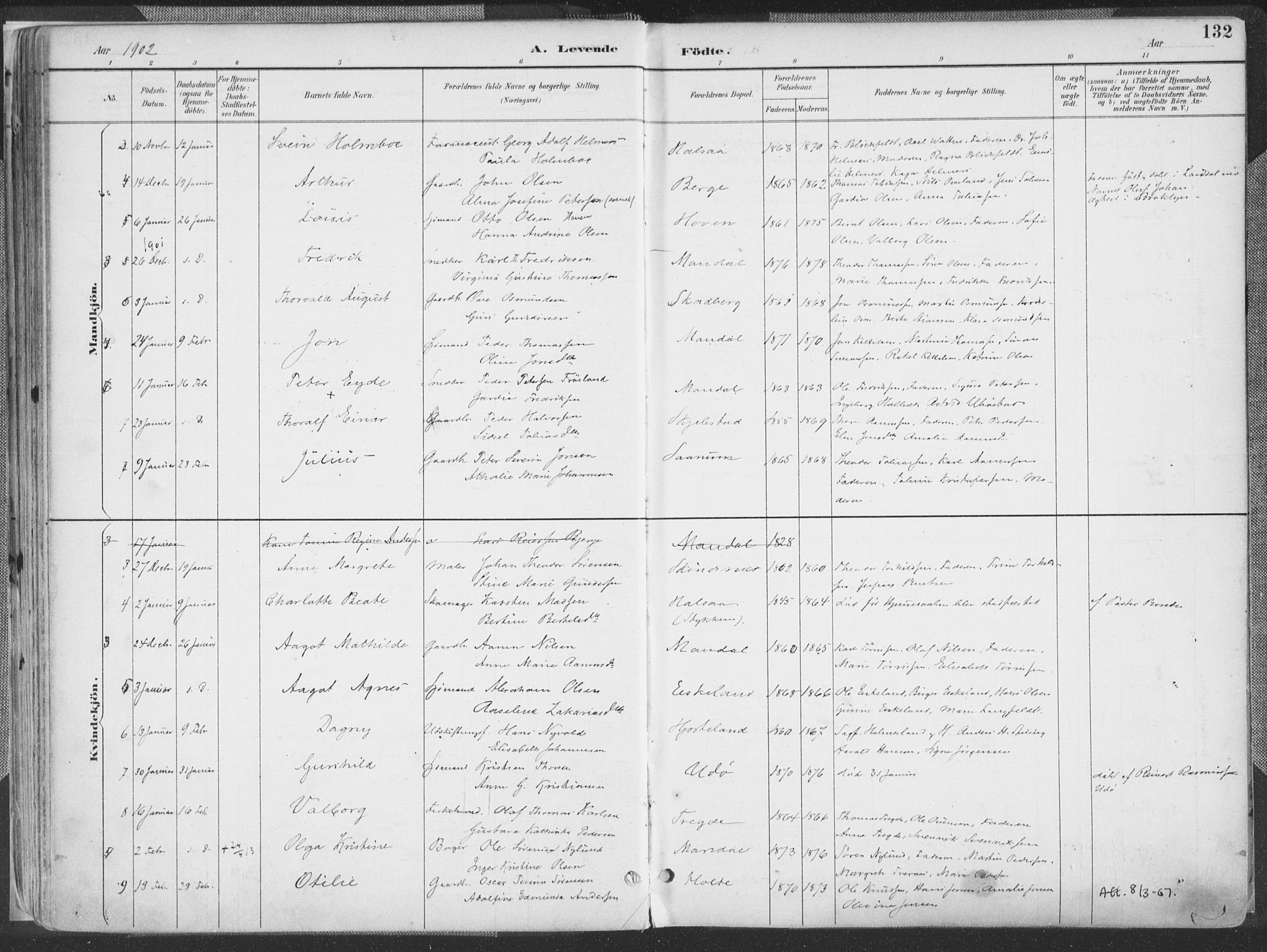 Mandal sokneprestkontor, AV/SAK-1111-0030/F/Fa/Faa/L0018: Parish register (official) no. A 18, 1890-1905, p. 132