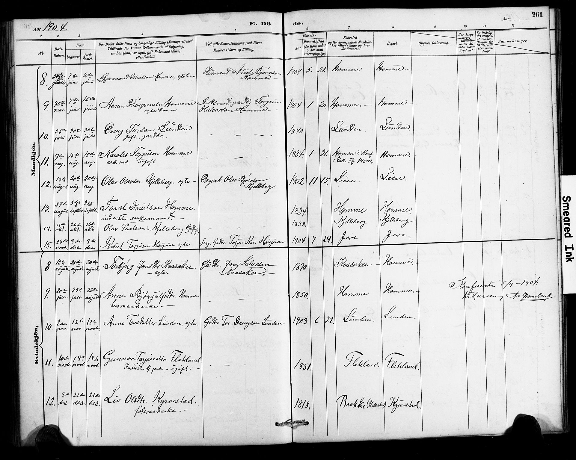 Valle sokneprestkontor, SAK/1111-0044/F/Fb/Fbc/L0004: Parish register (copy) no. B 4, 1890-1928, p. 261