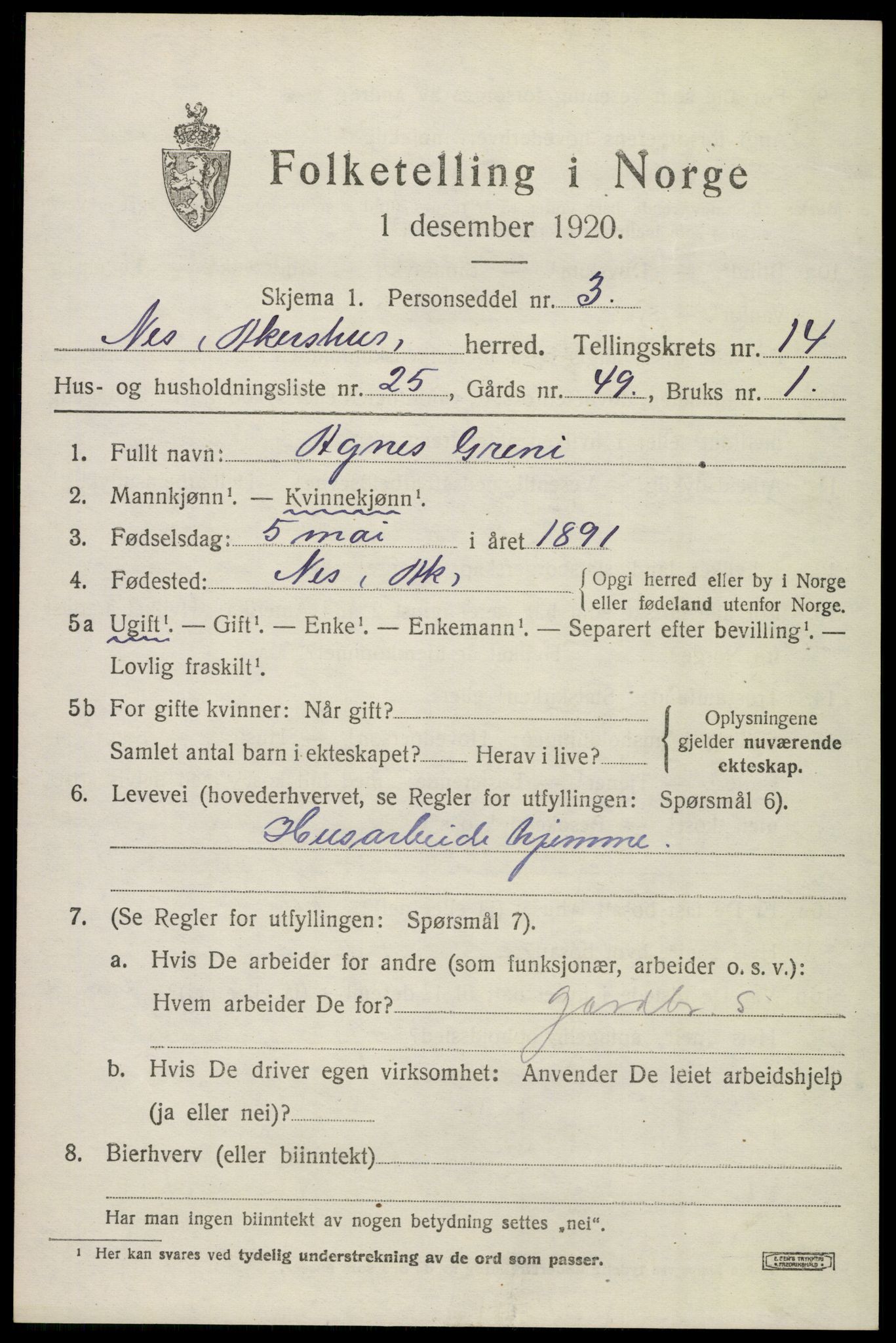 SAO, 1920 census for Nes, 1920, p. 14248