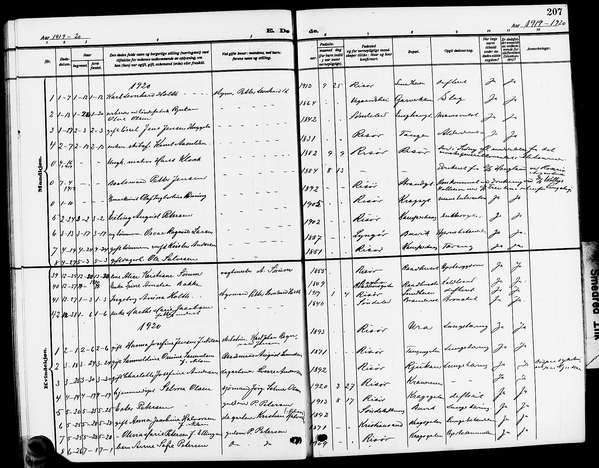Risør sokneprestkontor, SAK/1111-0035/F/Fb/L0008: Parish register (copy) no. B 8, 1909-1921, p. 207