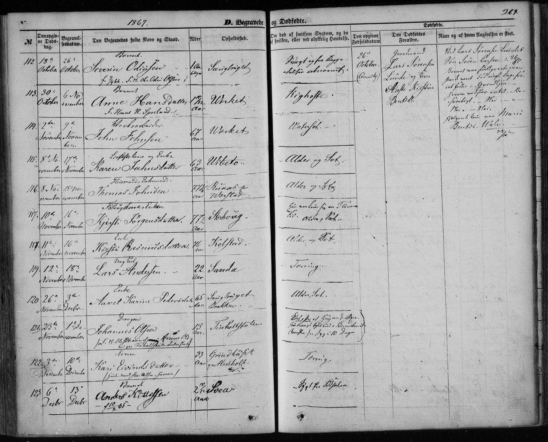 Holla kirkebøker, SAKO/A-272/F/Fa/L0006: Parish register (official) no. 6, 1861-1869, p. 261