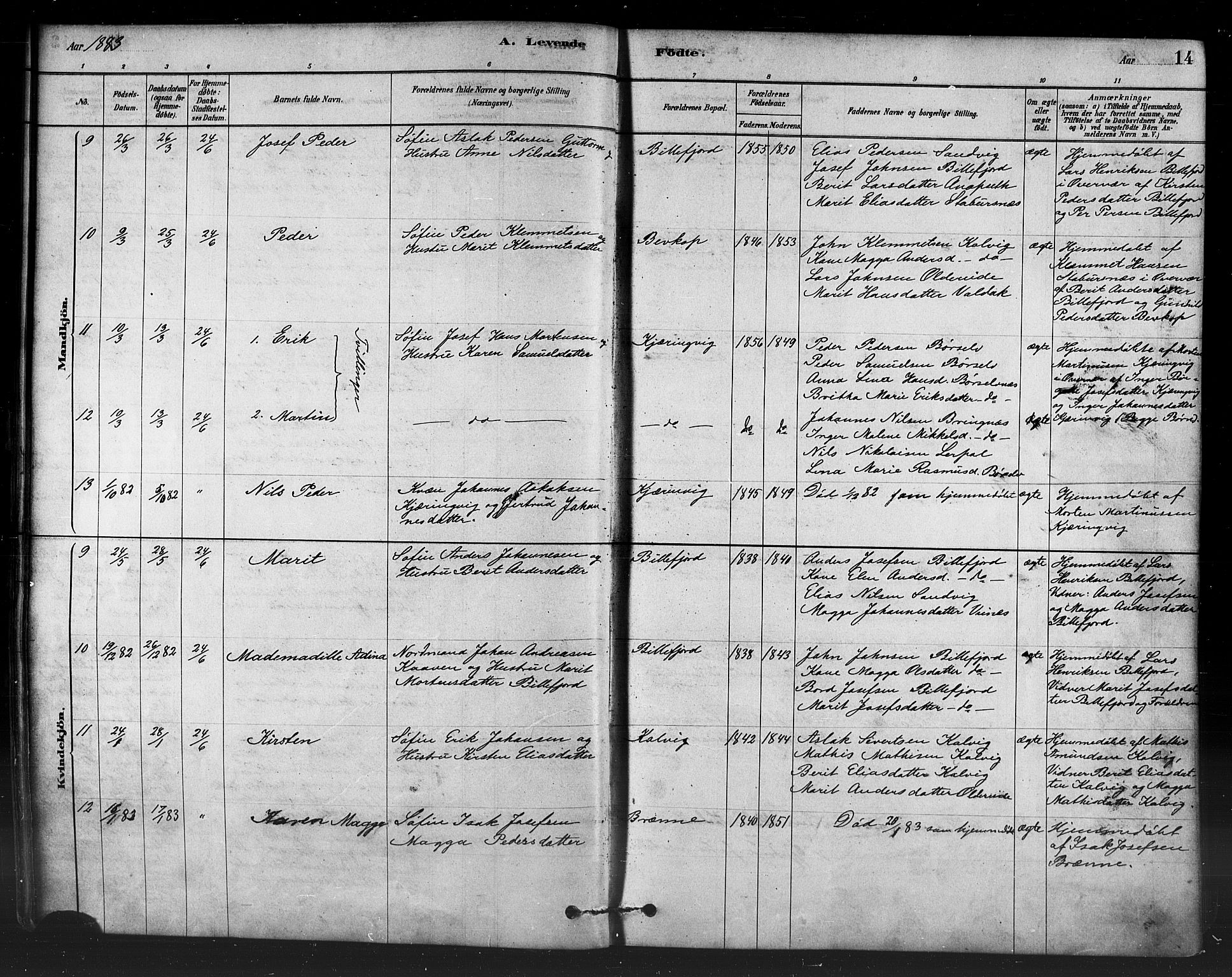 Kistrand/Porsanger sokneprestembete, AV/SATØ-S-1351/H/Ha/L0007.kirke: Parish register (official) no. 7, 1881-1889, p. 14