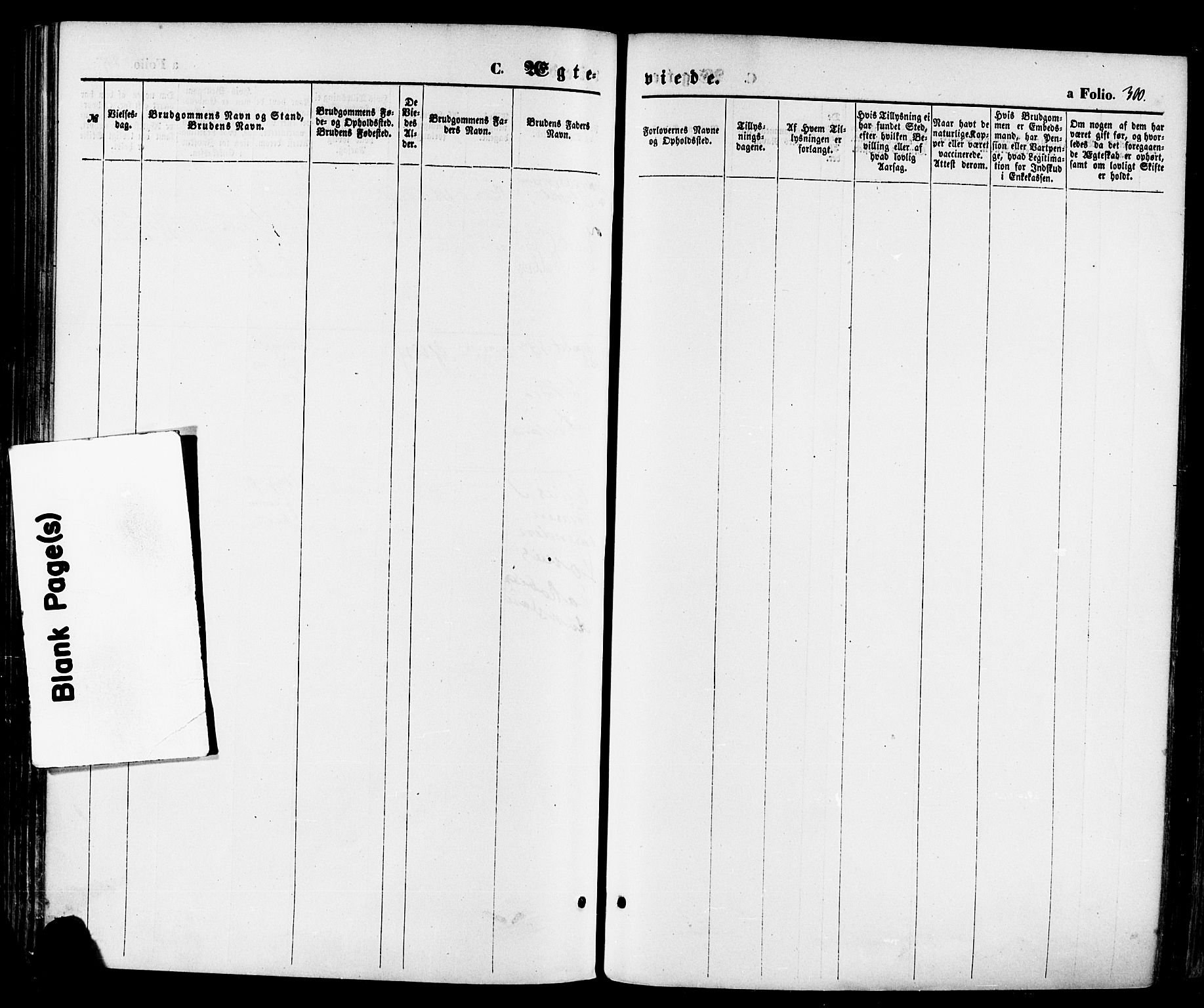 Sokndal sokneprestkontor, AV/SAST-A-101808: Parish register (official) no. A 10, 1874-1886, p. 300