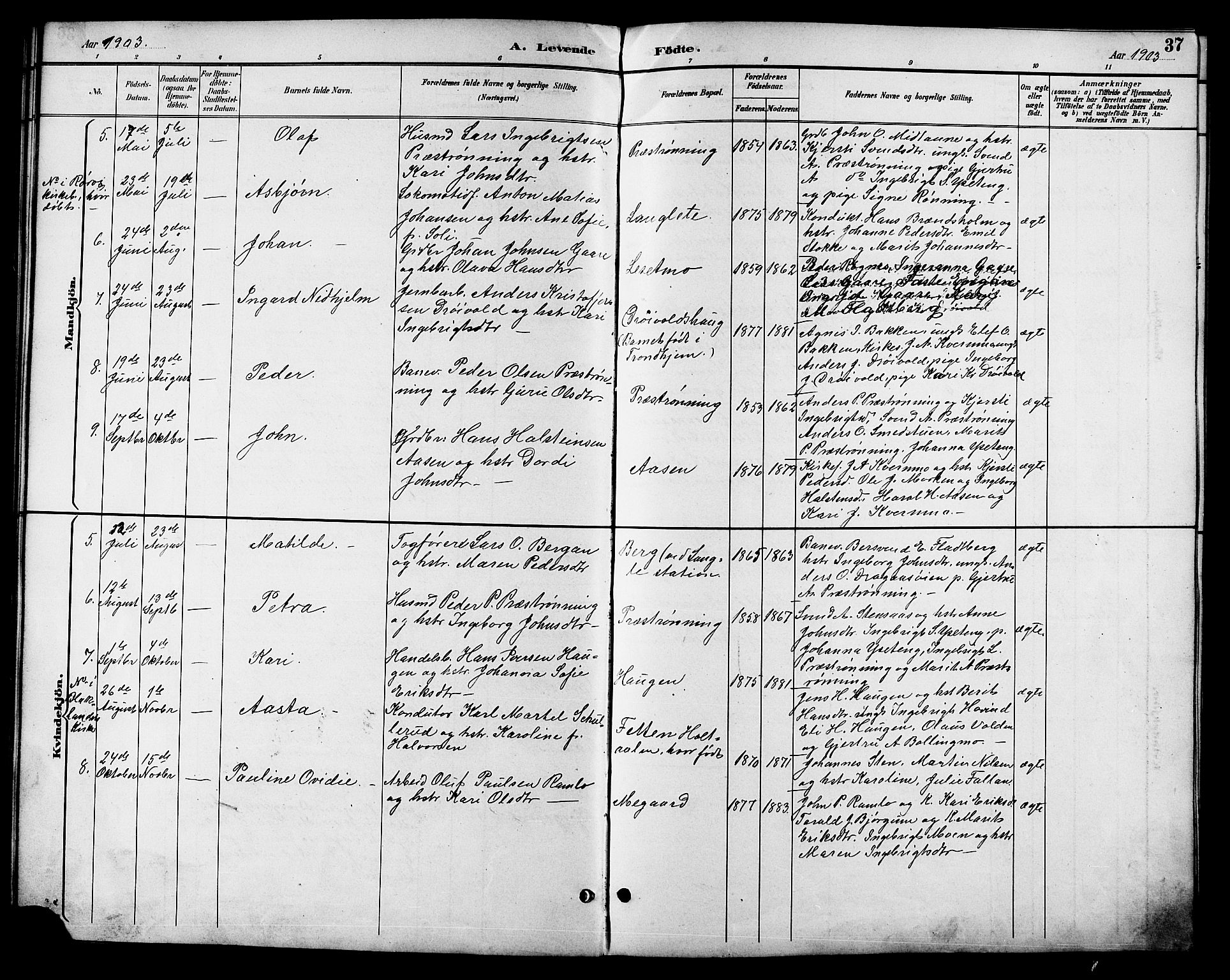 Ministerialprotokoller, klokkerbøker og fødselsregistre - Sør-Trøndelag, SAT/A-1456/685/L0978: Parish register (copy) no. 685C03, 1891-1907, p. 37