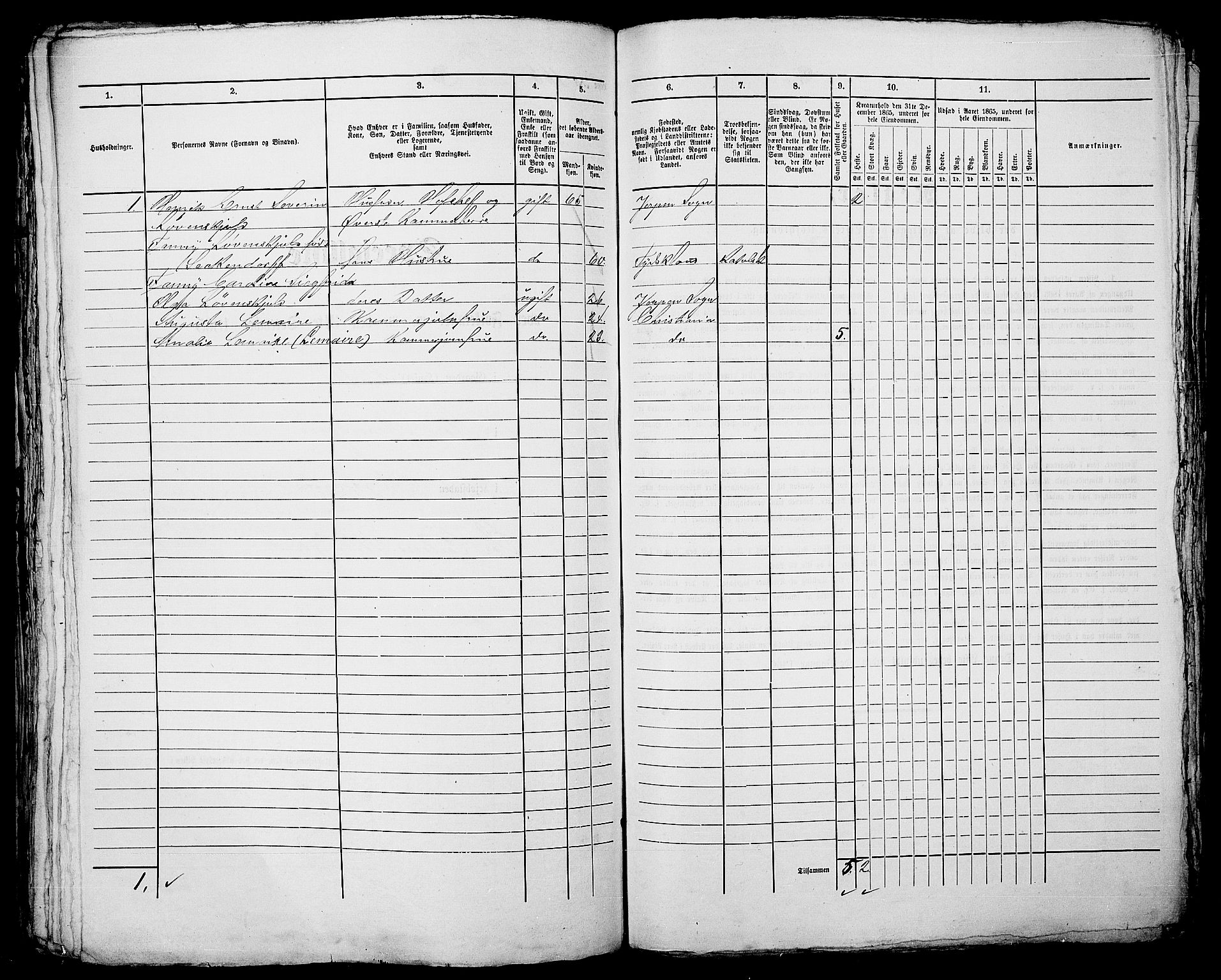 RA, 1865 census for Kristiania, 1865, p. 496