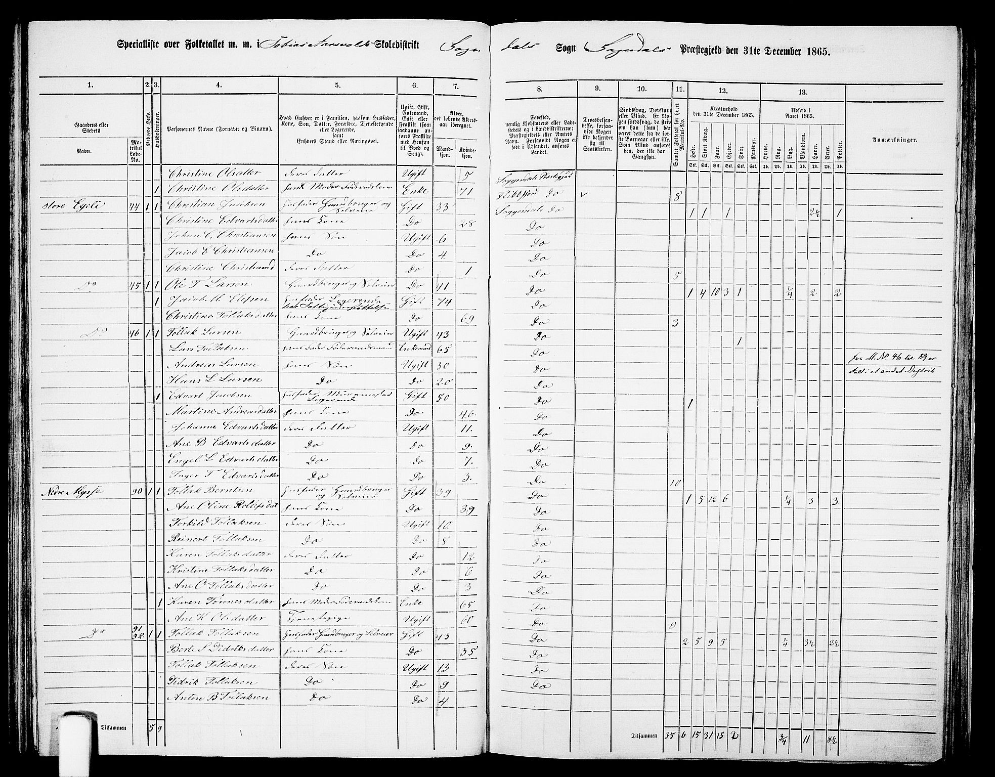 RA, 1865 census for Sokndal, 1865, p. 71