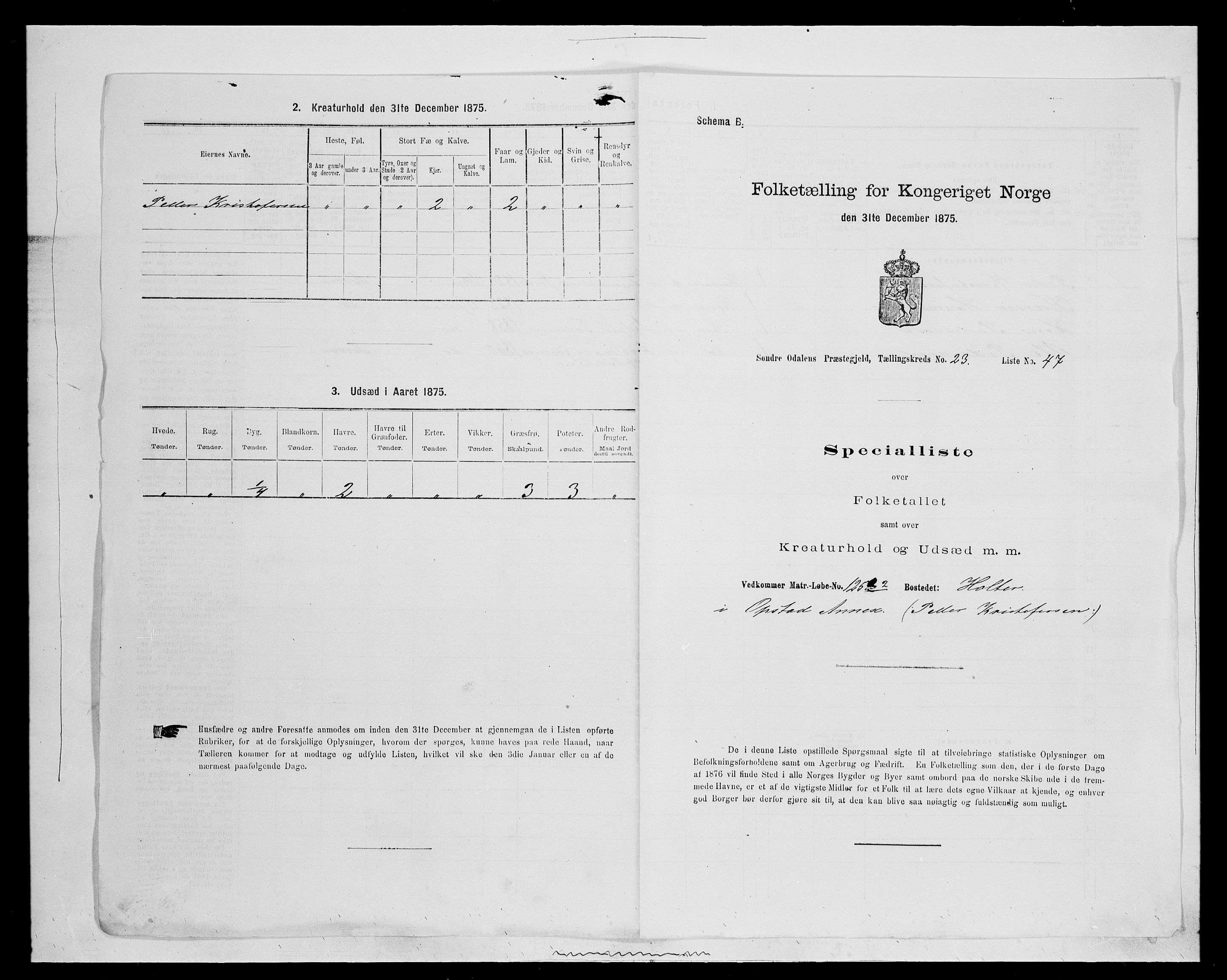 SAH, 1875 census for 0419P Sør-Odal, 1875, p. 2017