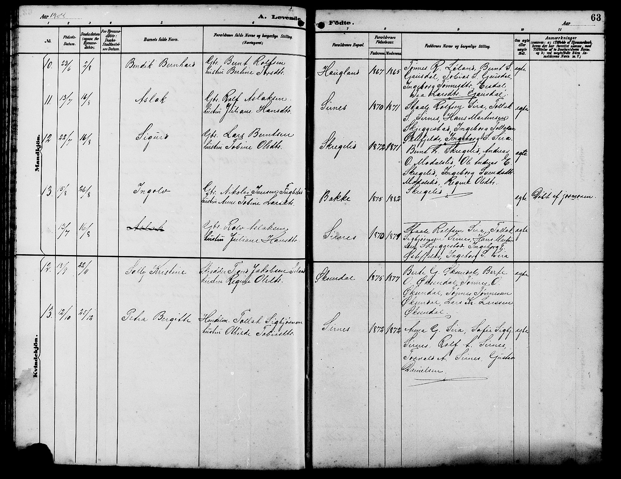 Bakke sokneprestkontor, SAK/1111-0002/F/Fb/Fba/L0003: Parish register (copy) no. B 3, 1894-1910, p. 63