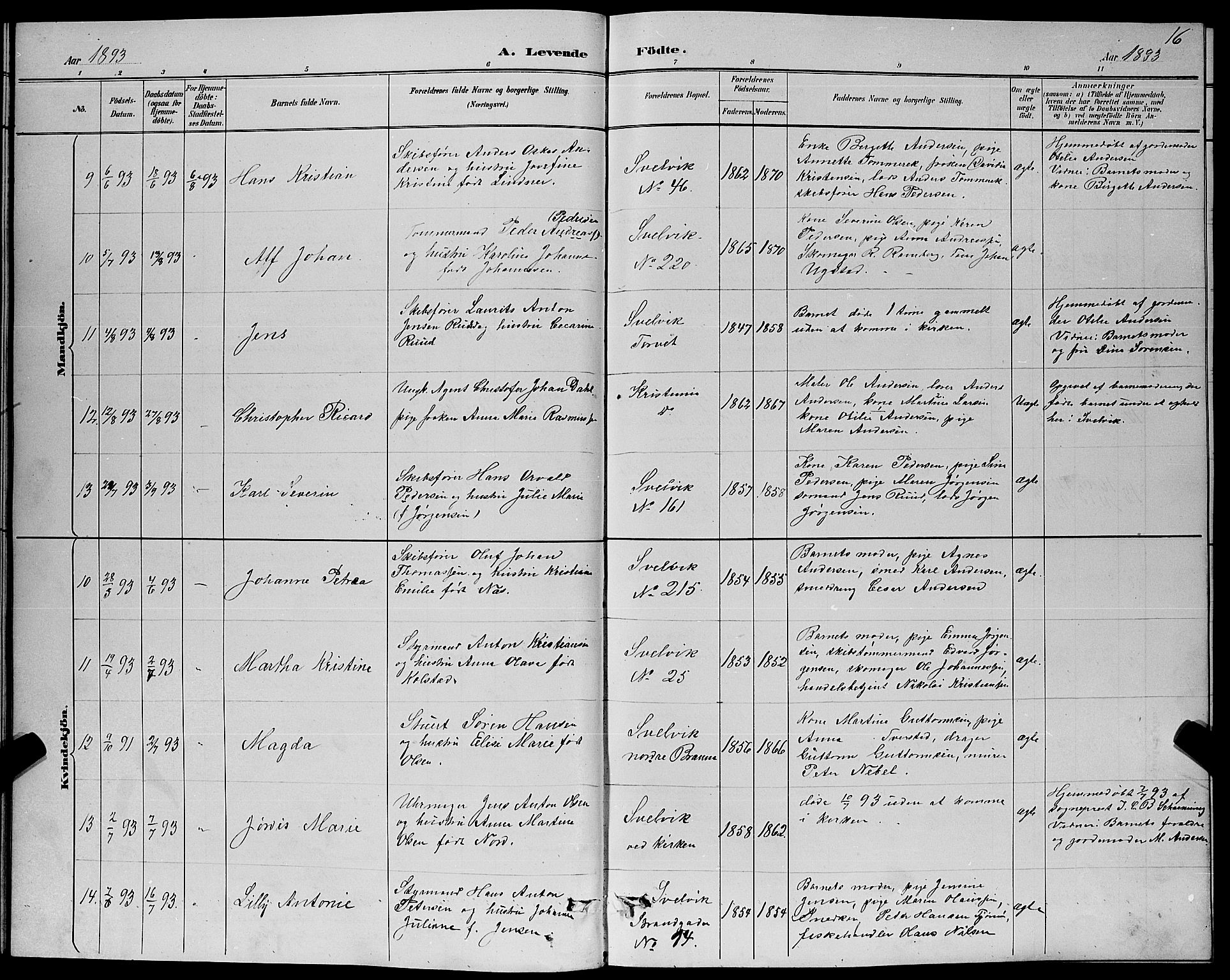 Strømm kirkebøker, AV/SAKO-A-322/G/Gb/L0001: Parish register (copy) no. II 1, 1889-1896, p. 16