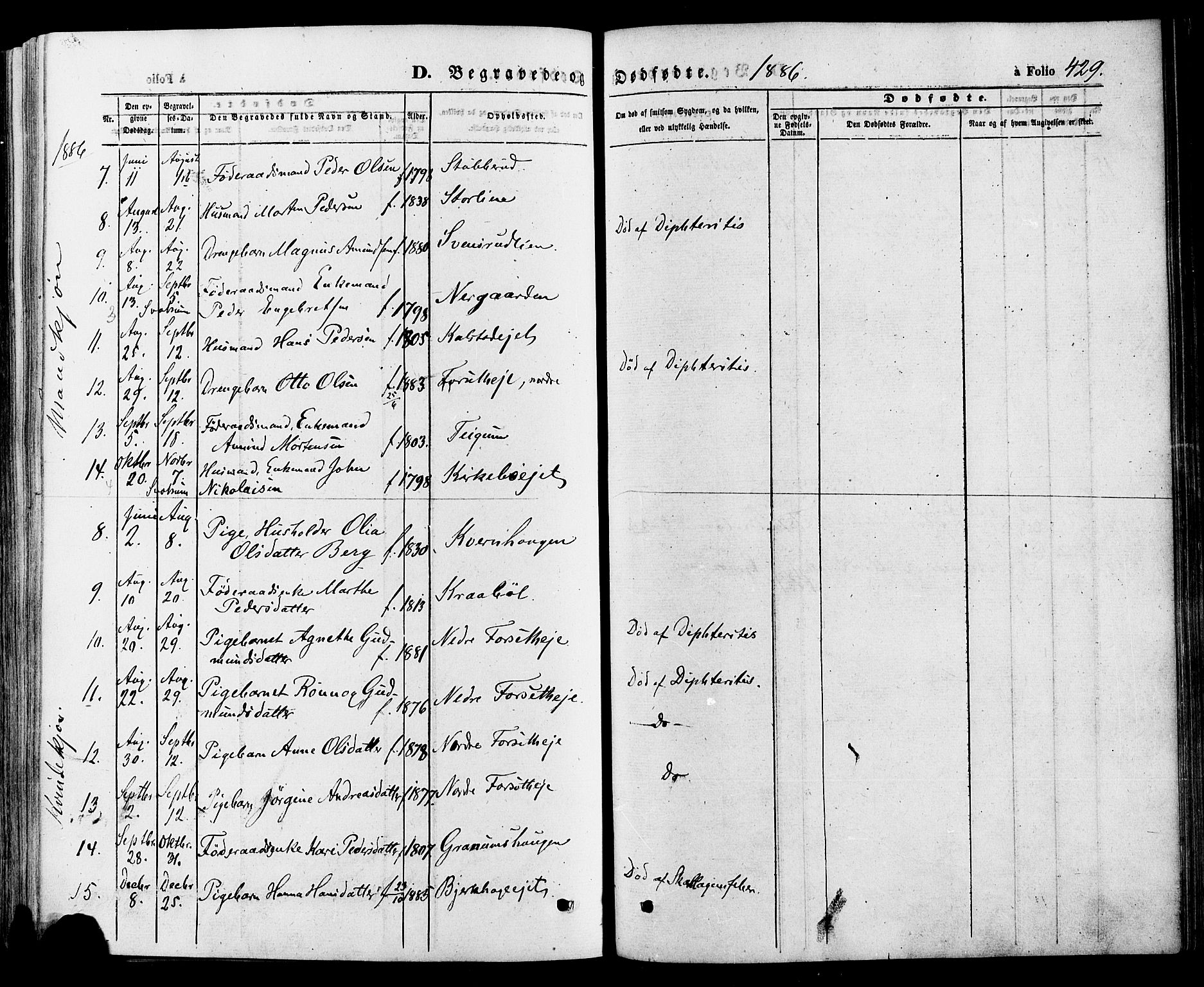 Gausdal prestekontor, SAH/PREST-090/H/Ha/Haa/L0010: Parish register (official) no. 10, 1867-1886, p. 429