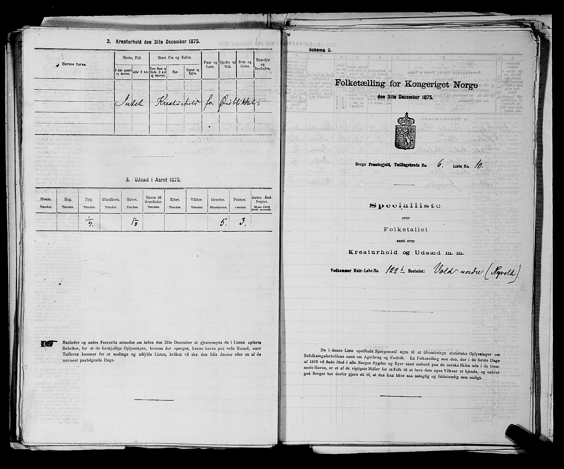 RA, 1875 census for 0116P Berg, 1875, p. 985