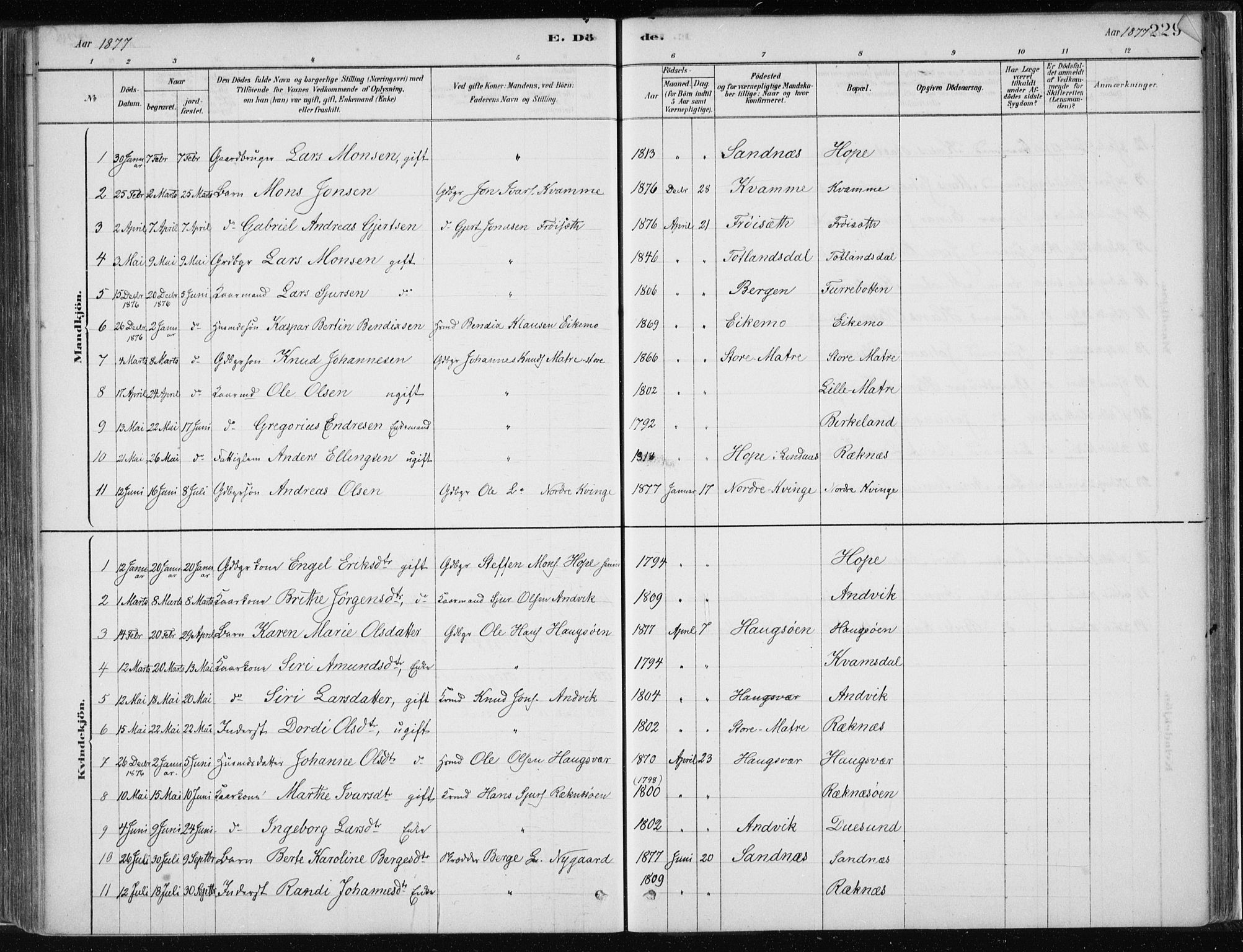 Masfjorden Sokneprestembete, SAB/A-77001: Parish register (official) no. B  1, 1876-1899, p. 229