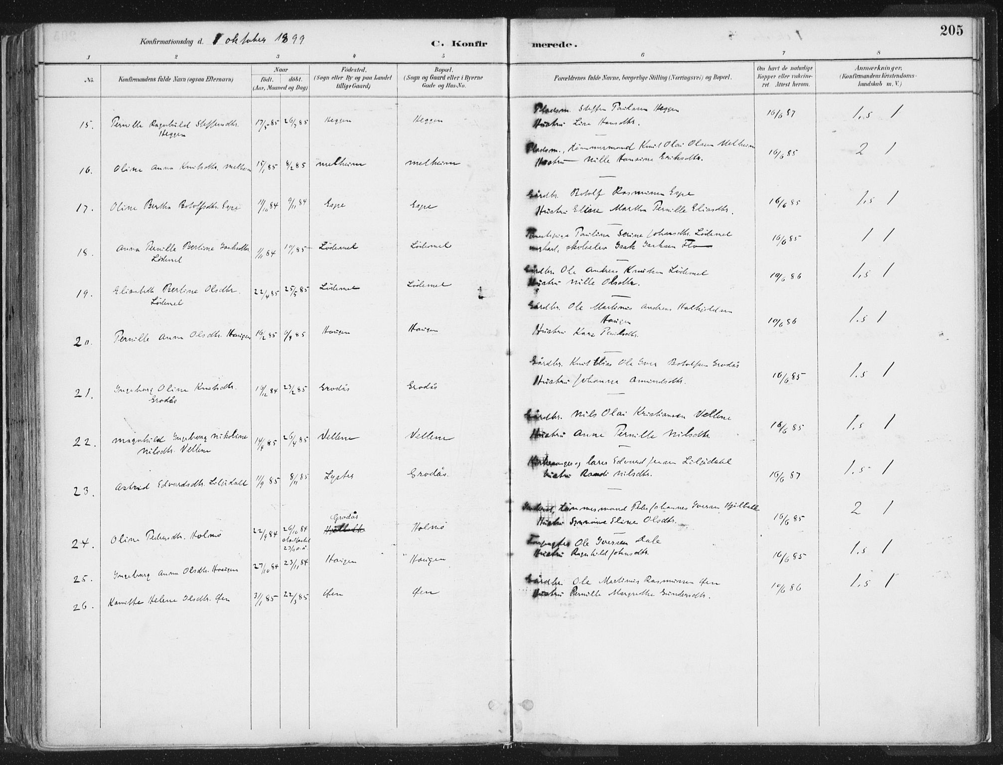 Hornindal sokneprestembete, AV/SAB-A-82401/H/Haa/Haaa/L0003/0001: Parish register (official) no. A 3A, 1887-1917, p. 205