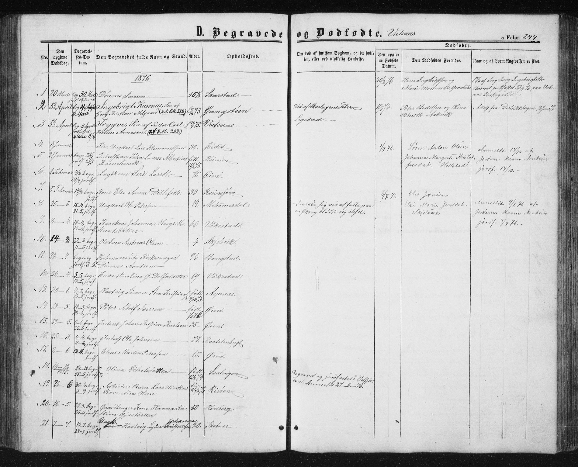 Ministerialprotokoller, klokkerbøker og fødselsregistre - Nordland, AV/SAT-A-1459/810/L0158: Parish register (copy) no. 810C02 /1, 1863-1883, p. 244