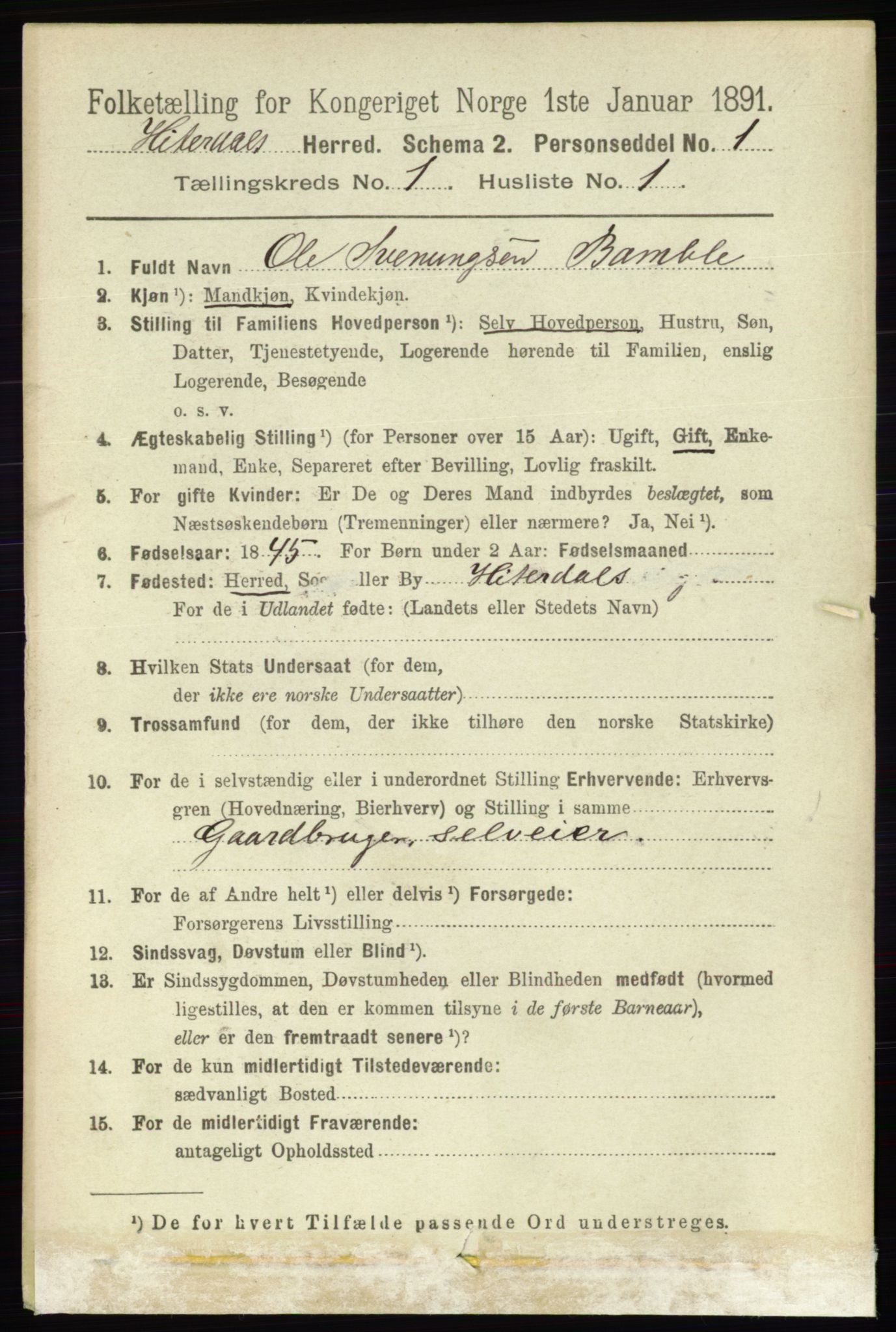 RA, 1891 census for 0823 Heddal, 1891, p. 105