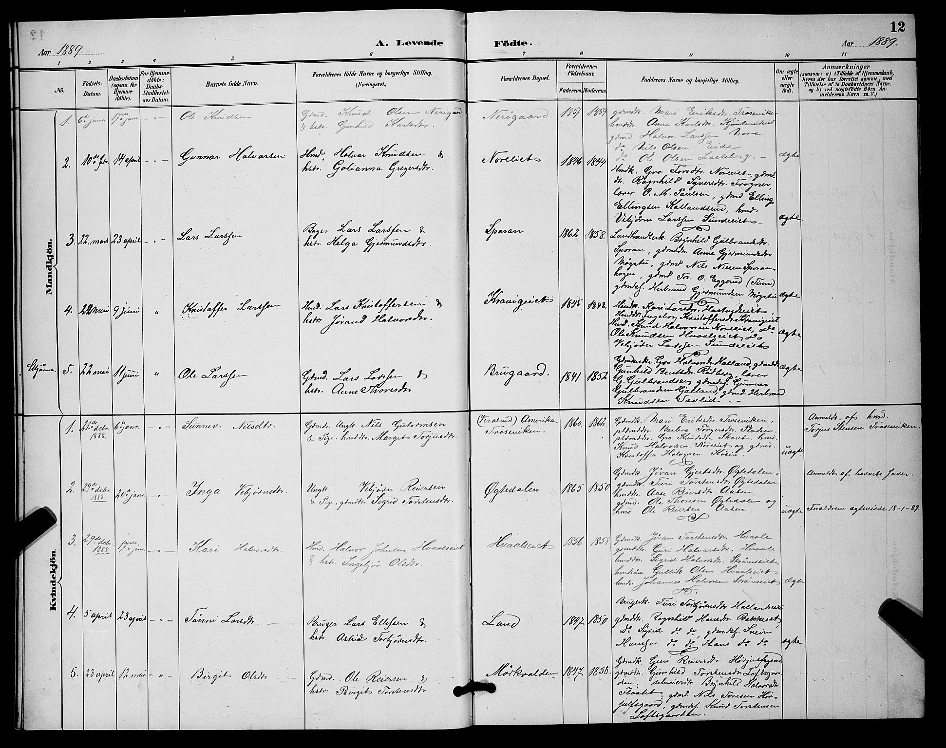 Nore kirkebøker, SAKO/A-238/G/Ga/L0003: Parish register (copy) no. I 3, 1886-1903, p. 12