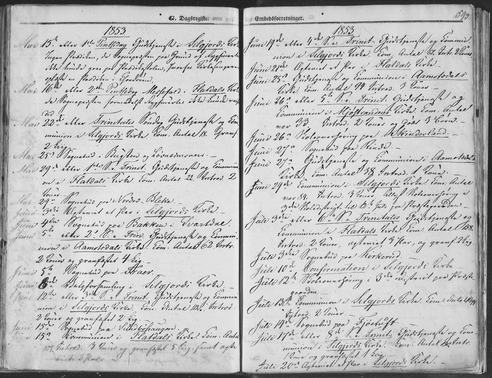 Seljord kirkebøker, AV/SAKO-A-20/F/Fa/L012b: Parish register (official) no. I 12B, 1850-1865, p. 593