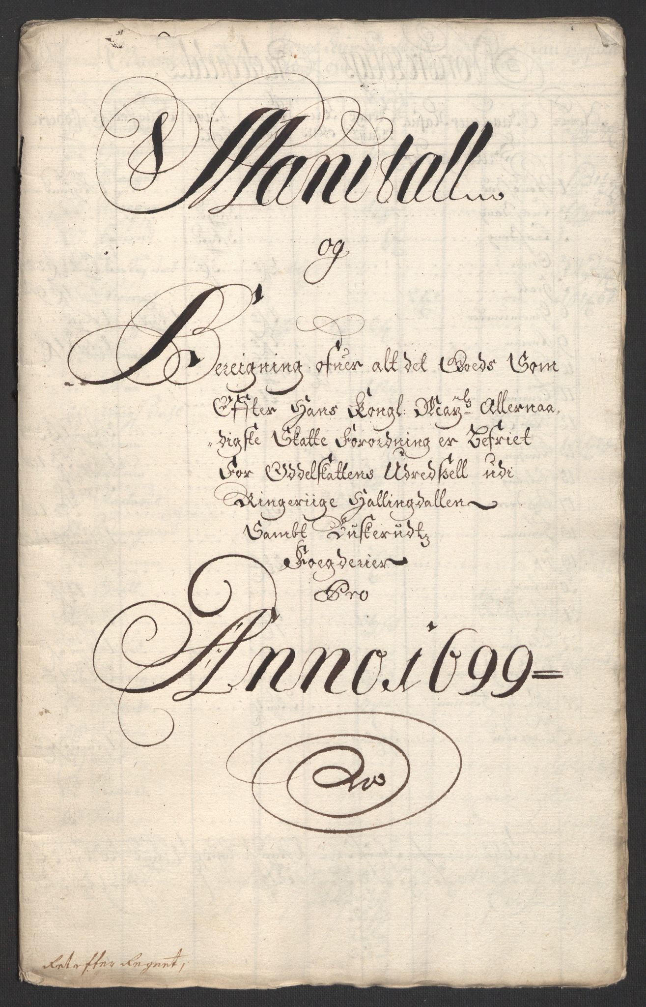 Rentekammeret inntil 1814, Reviderte regnskaper, Fogderegnskap, RA/EA-4092/R22/L1456: Fogderegnskap Ringerike, Hallingdal og Buskerud, 1699, p. 311