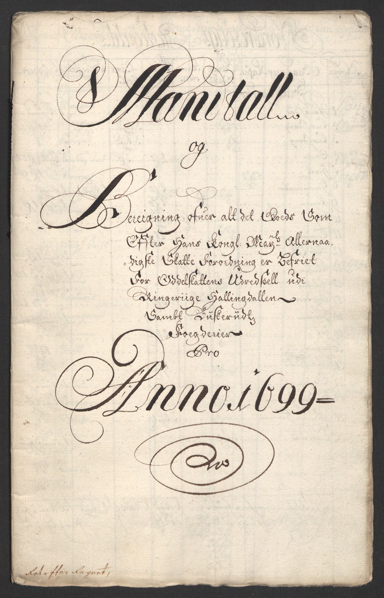 Rentekammeret inntil 1814, Reviderte regnskaper, Fogderegnskap, AV/RA-EA-4092/R22/L1456: Fogderegnskap Ringerike, Hallingdal og Buskerud, 1699, p. 311