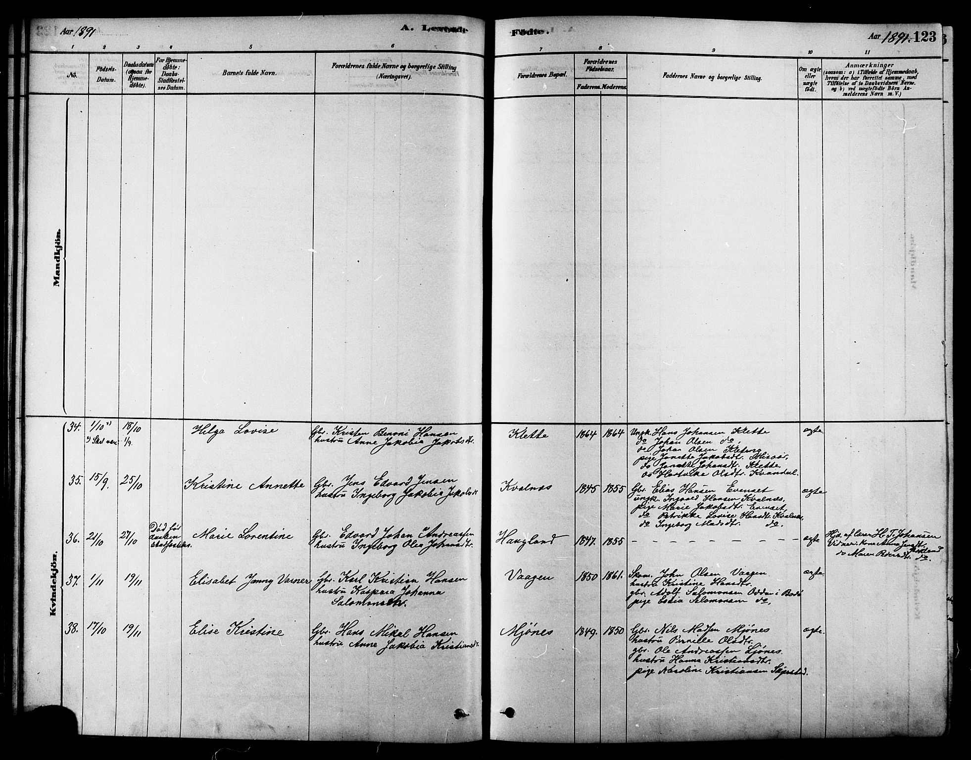 Ministerialprotokoller, klokkerbøker og fødselsregistre - Nordland, AV/SAT-A-1459/852/L0740: Parish register (official) no. 852A10, 1878-1894, p. 123