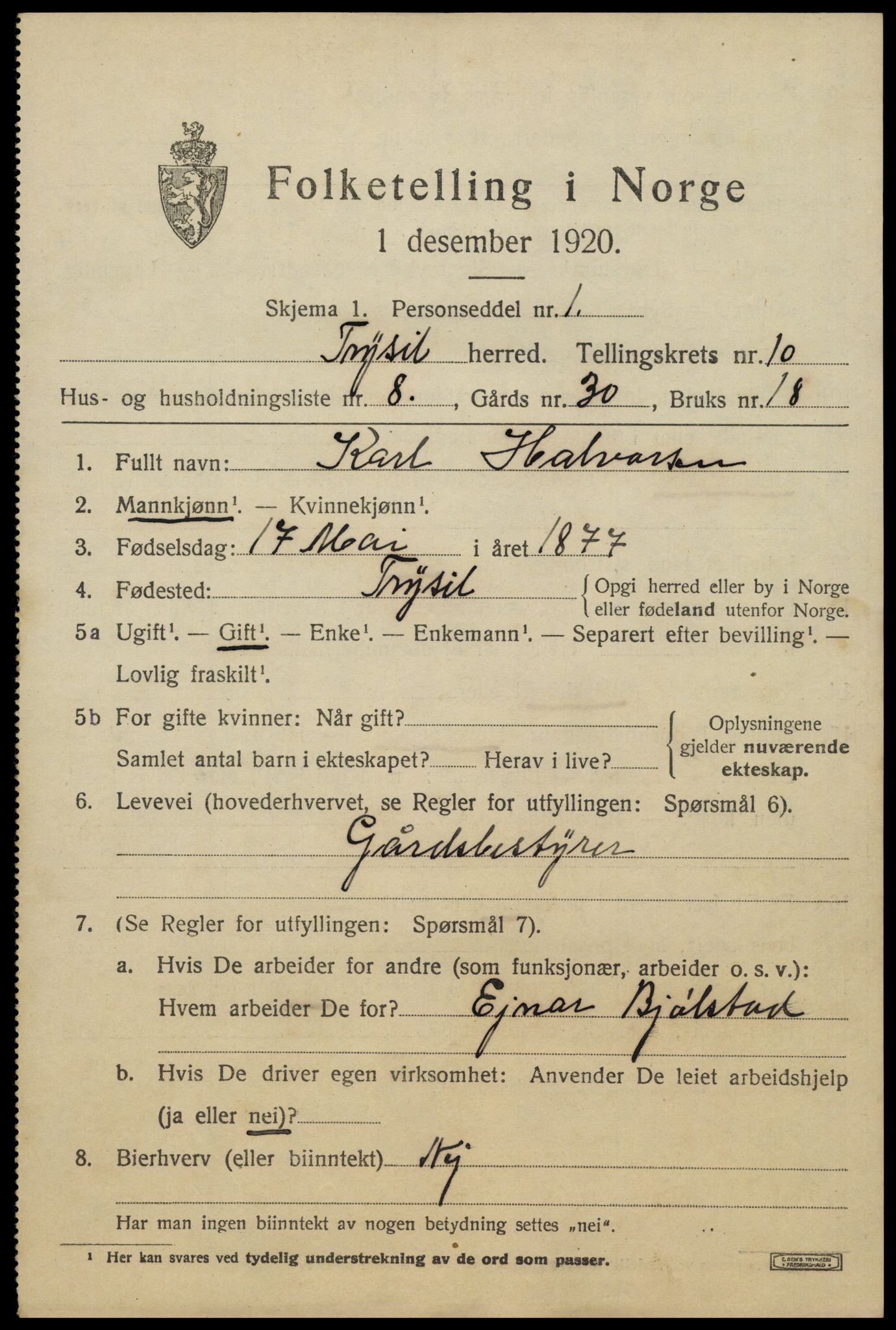 SAH, 1920 census for Trysil, 1920, p. 6943